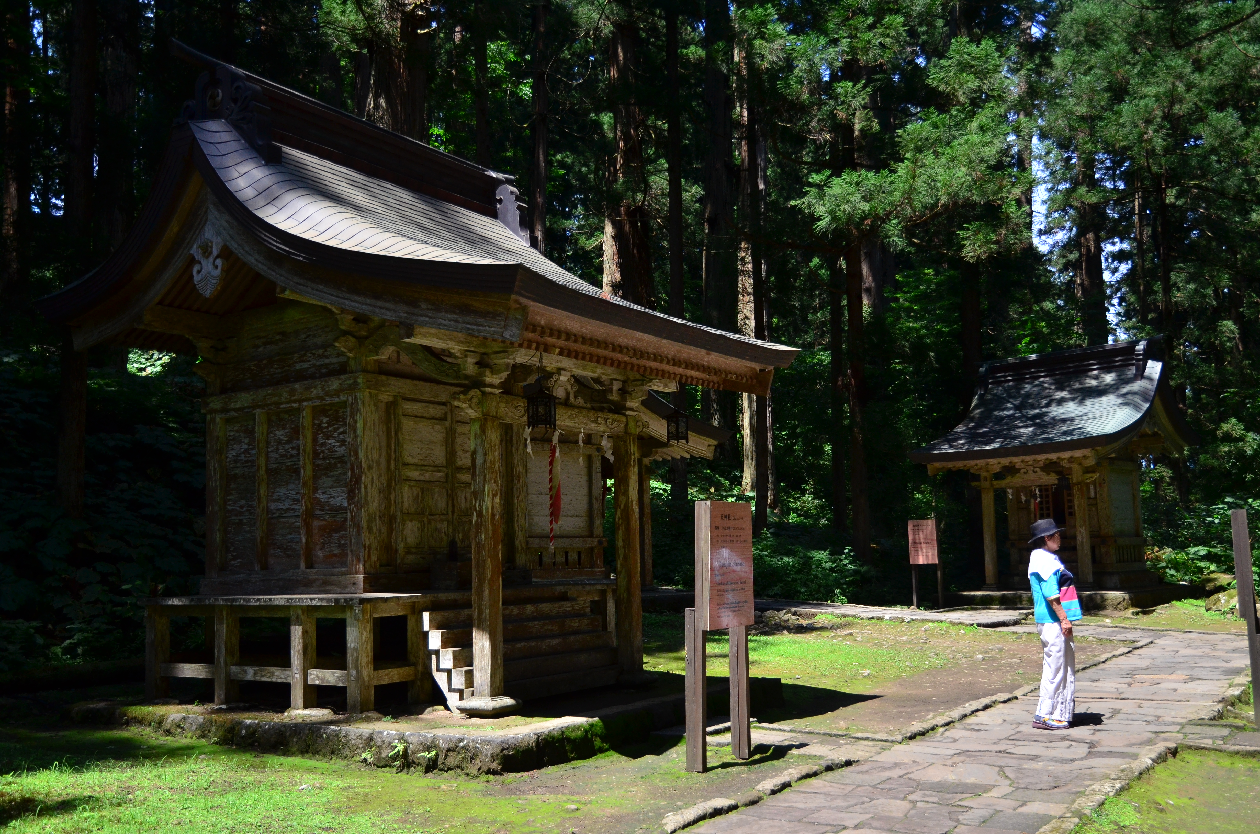 山林裡的神社引導我前往五重塔的所在地。