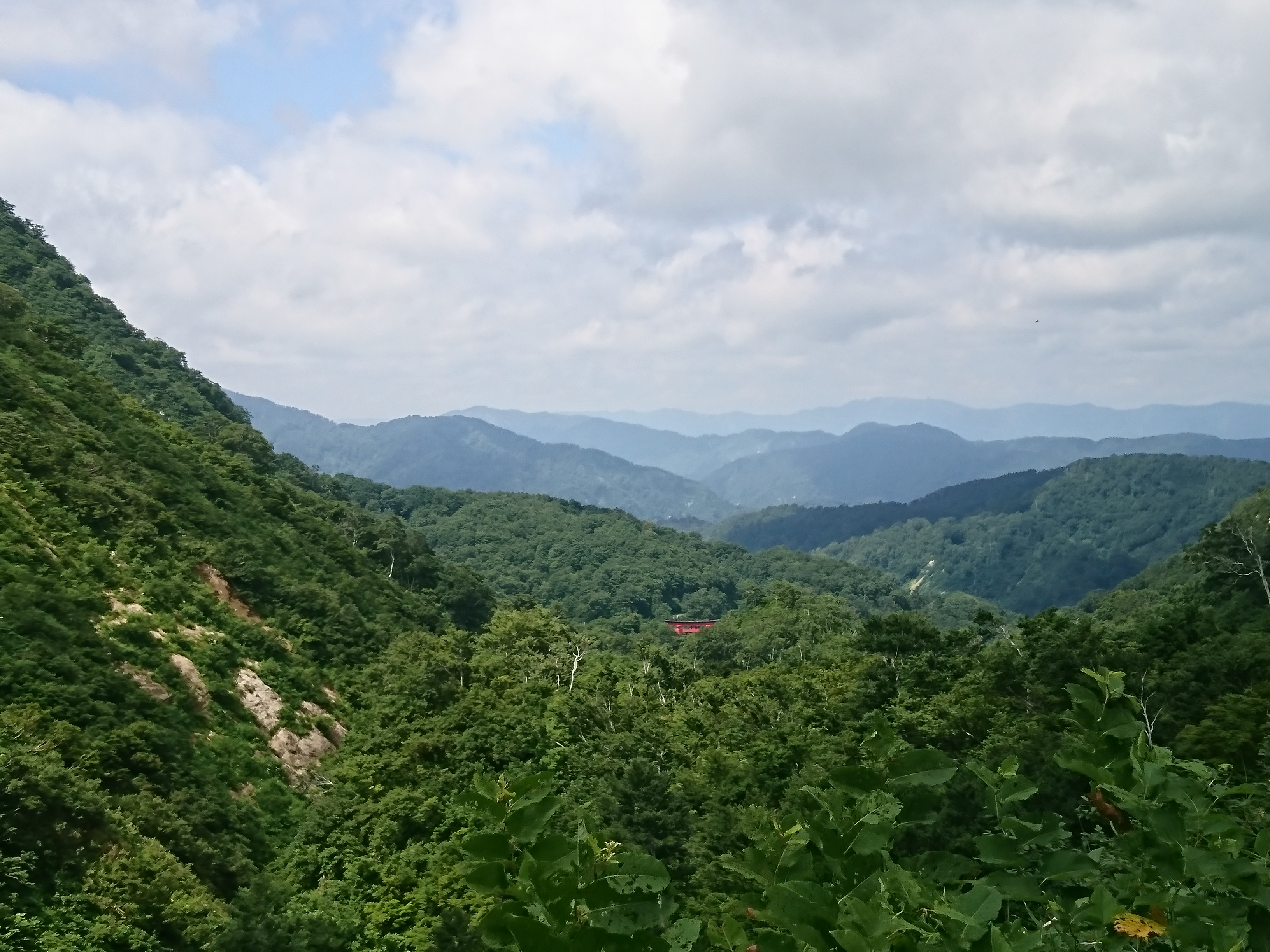 湯殿山神社的鳥居隱身在深山叢林裡遺世獨立。
