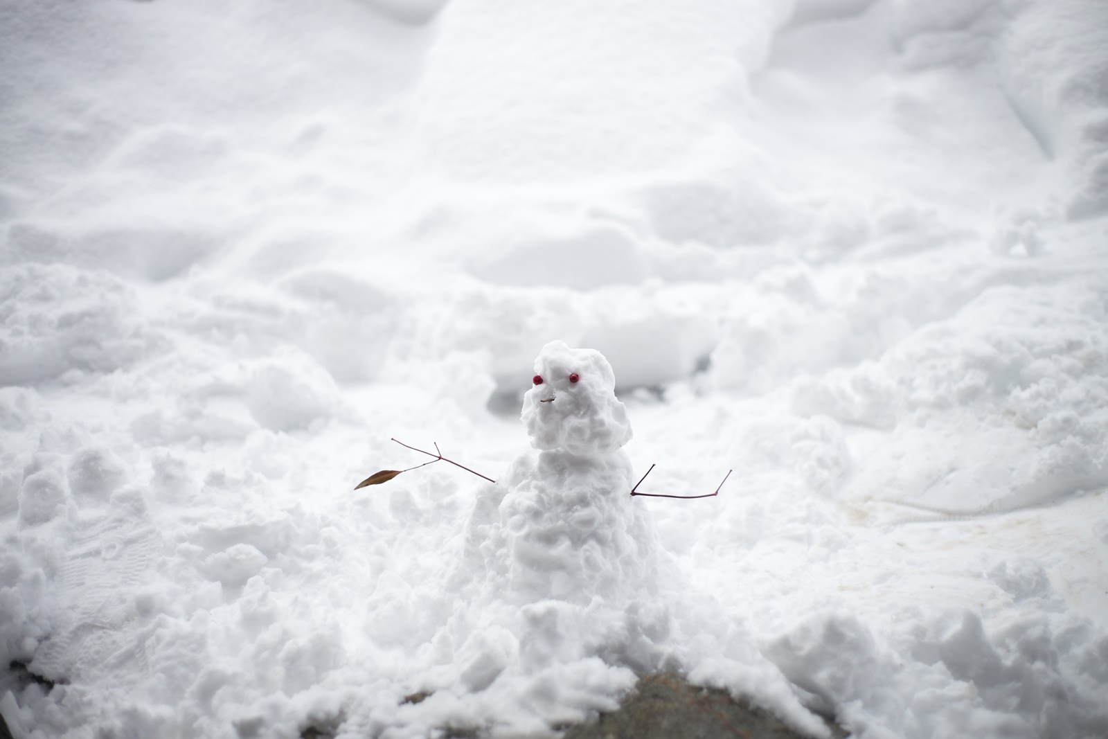 日本下雪時隨處可見地上堆起的小雪人。