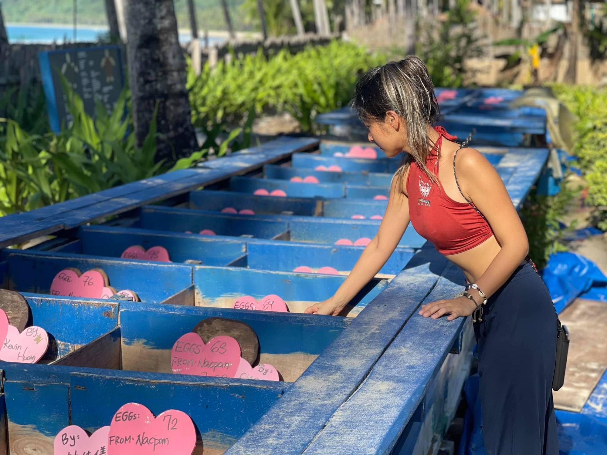海龜保育中心每一窩都分隔放置。（深深愛上愛妮島、IG：oceangirl_sylvia提供）
