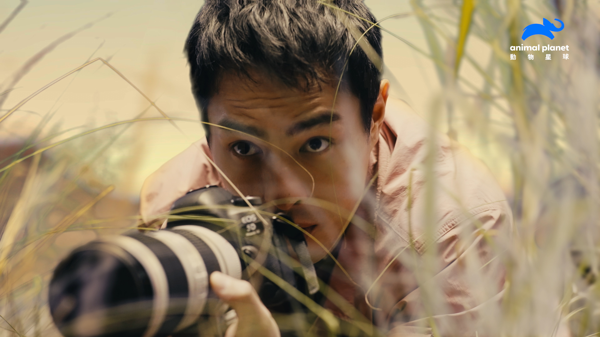 楊祐寧以動物星球頻道大使身分，化身野生動物攝影師，一起感受大自然野性之美。（動物星球頻道提供）