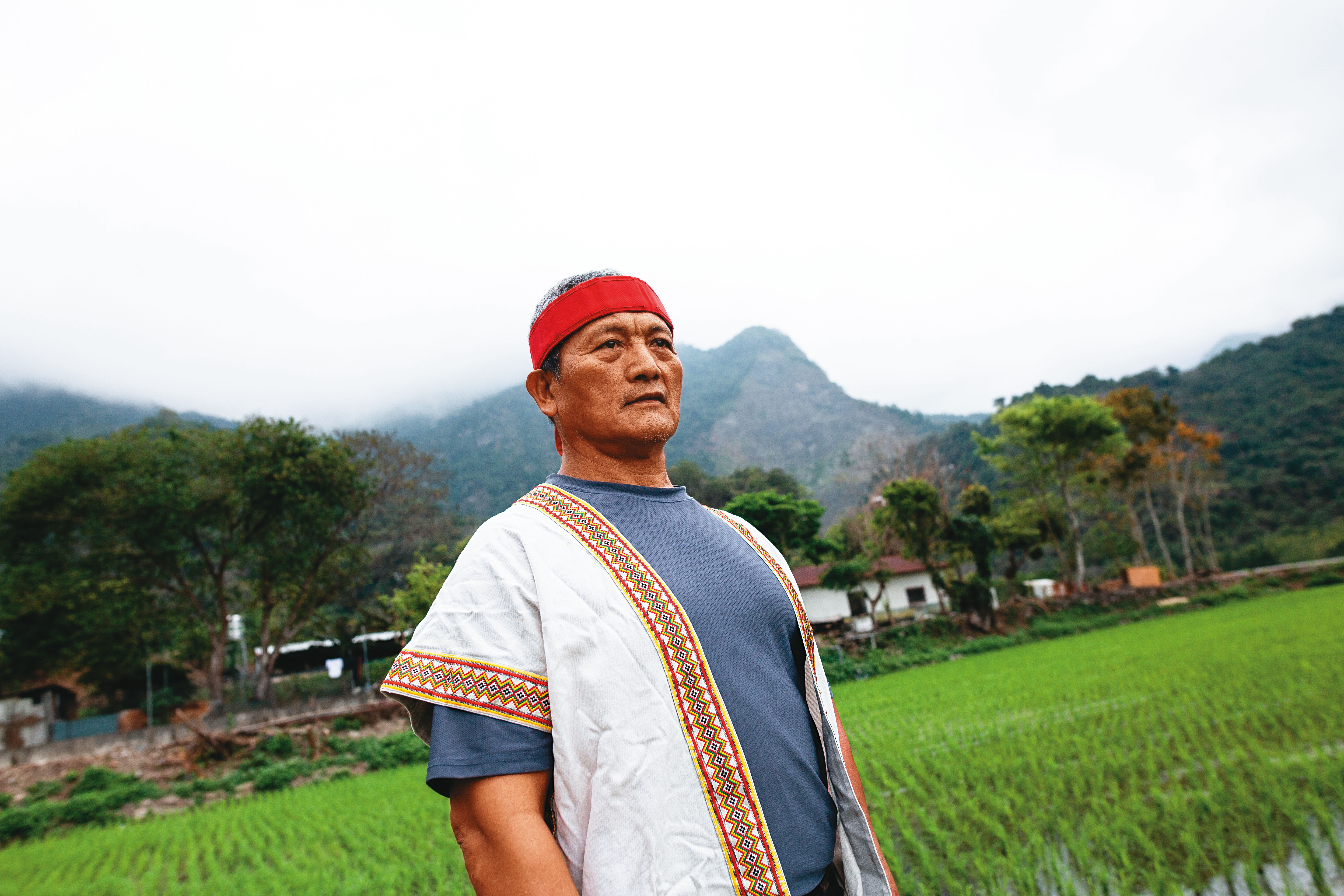  王光祿退休後在家鄉台東海端鄉養鴨種稻。