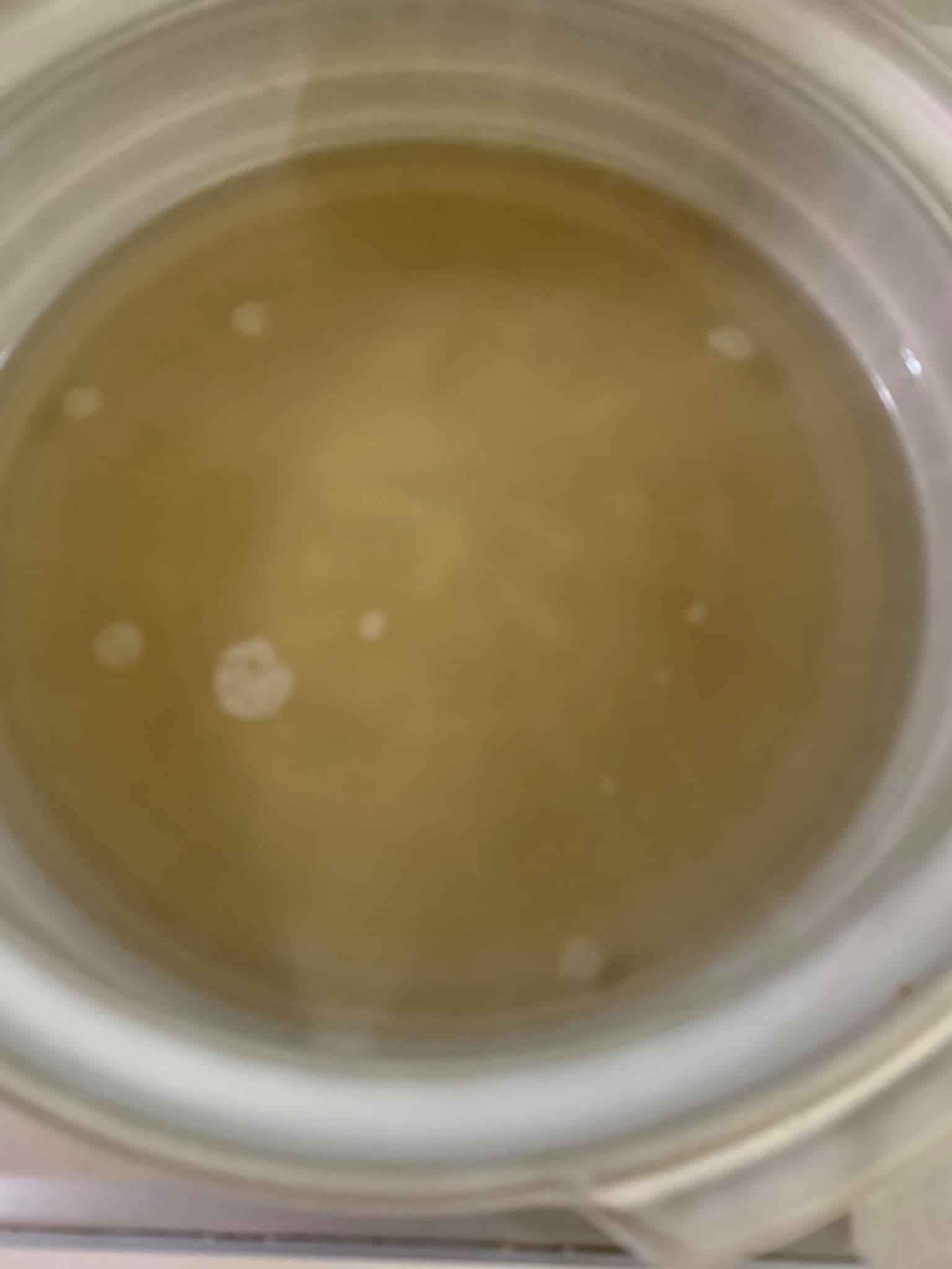 將雞湯放入砂鍋。