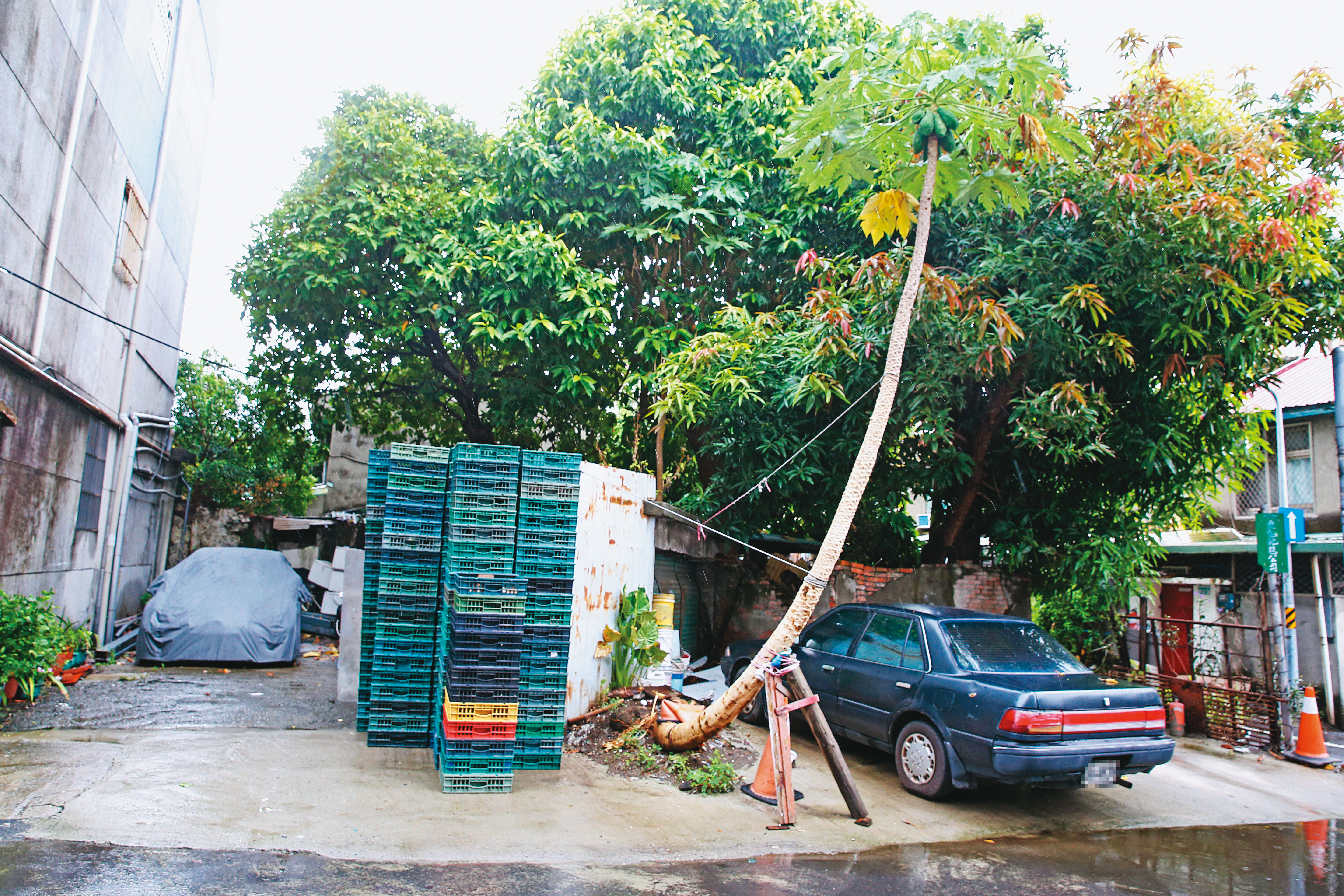 巧洋建設買下忠誠新村旁的畸零地後,以鄰地主身分主導忠誠新村都更。
