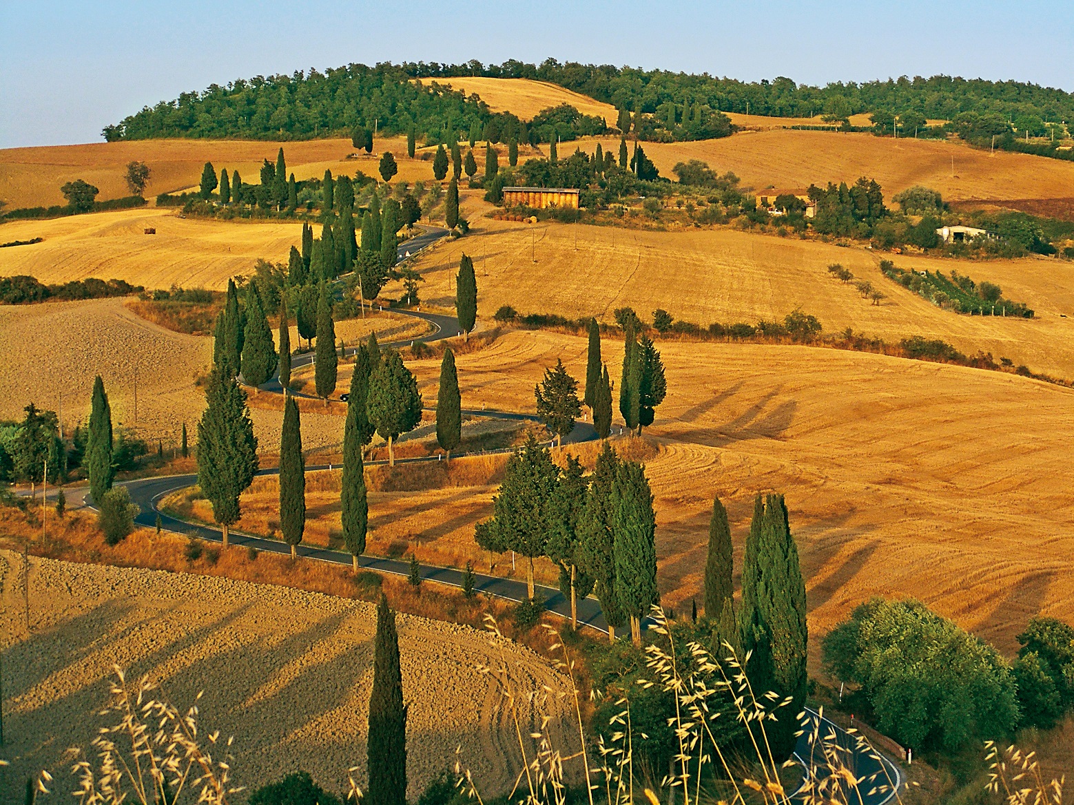 這一幅托斯卡尼鄉村風景，已成為紀念明信片上的經典畫面。