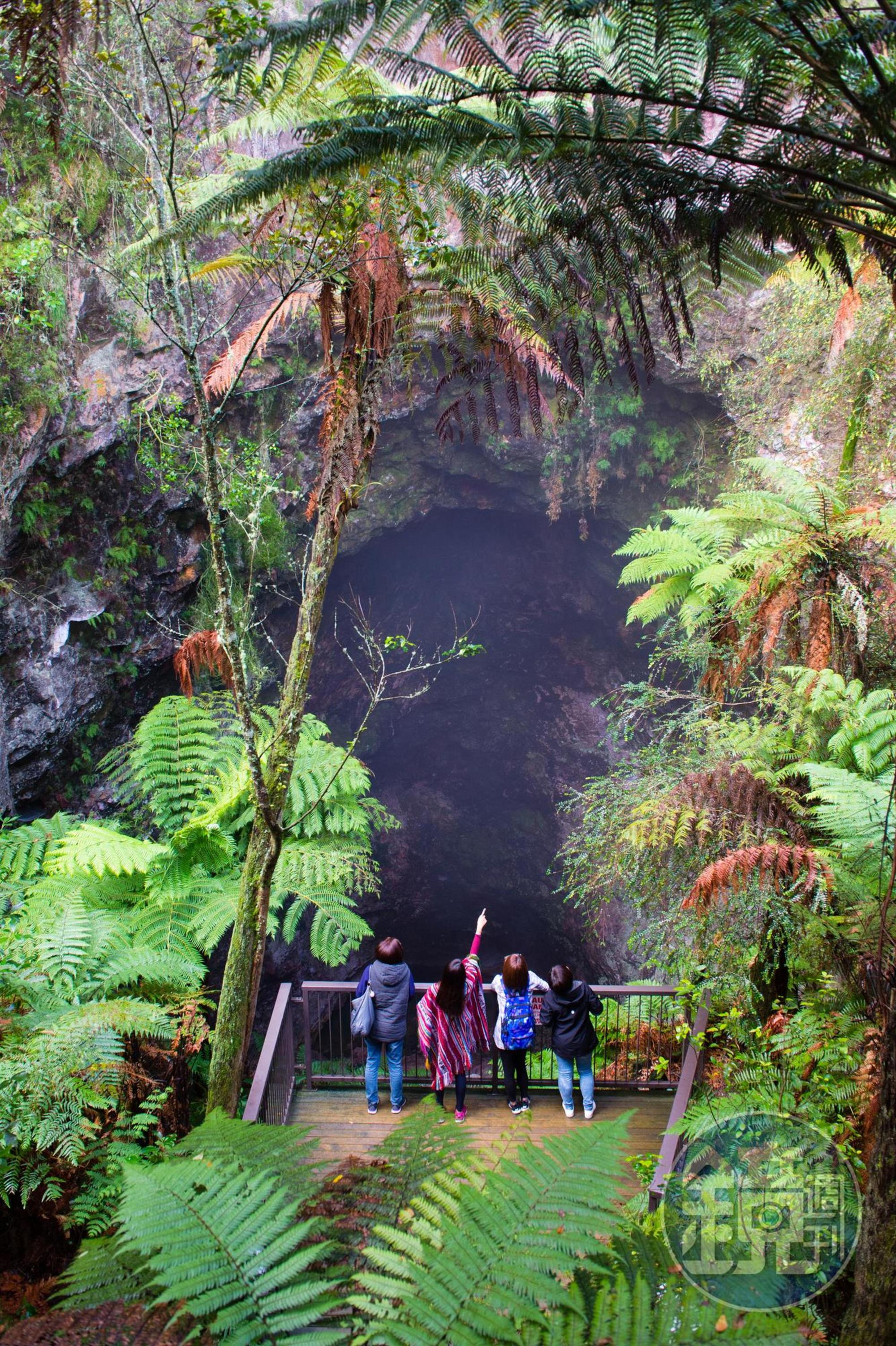 「魯阿塔普岩洞」（Ruatapu Cave）像極了電影侏羅紀公園場景。