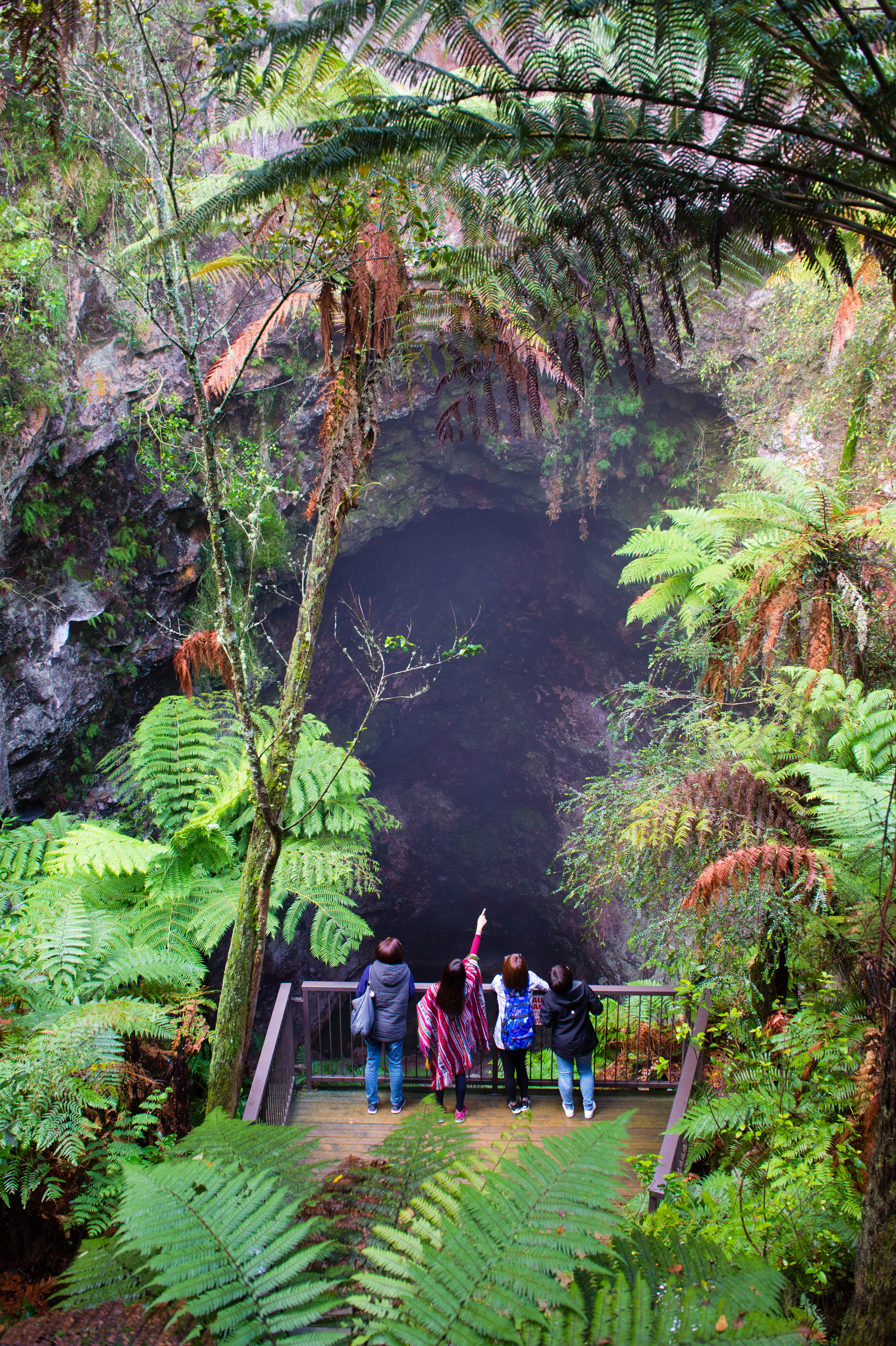 「魯阿塔普岩洞」（Ruatapu Cave）像極了電影侏羅紀公園場景。
