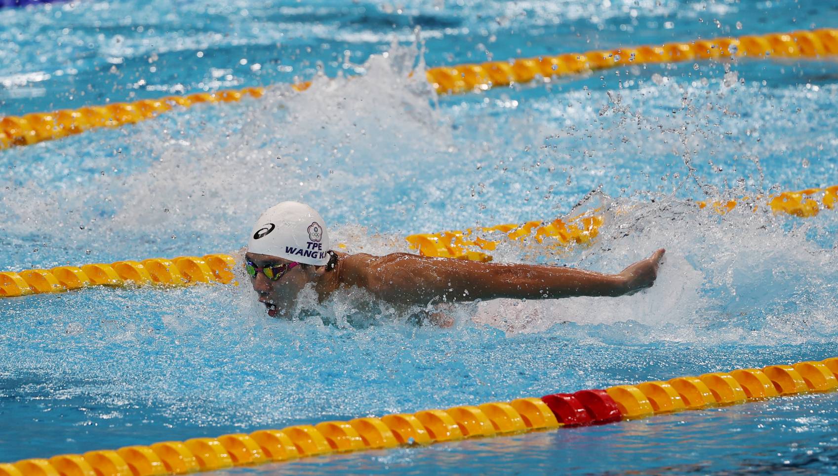 王冠閎今出賽奧運男子100公尺蝶式分組預賽。（體育署提供）