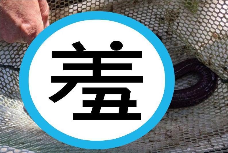 專家們坦承對陰莖蛇的瞭解仍十分有限。(翻攝自Austin Prechtel網站)