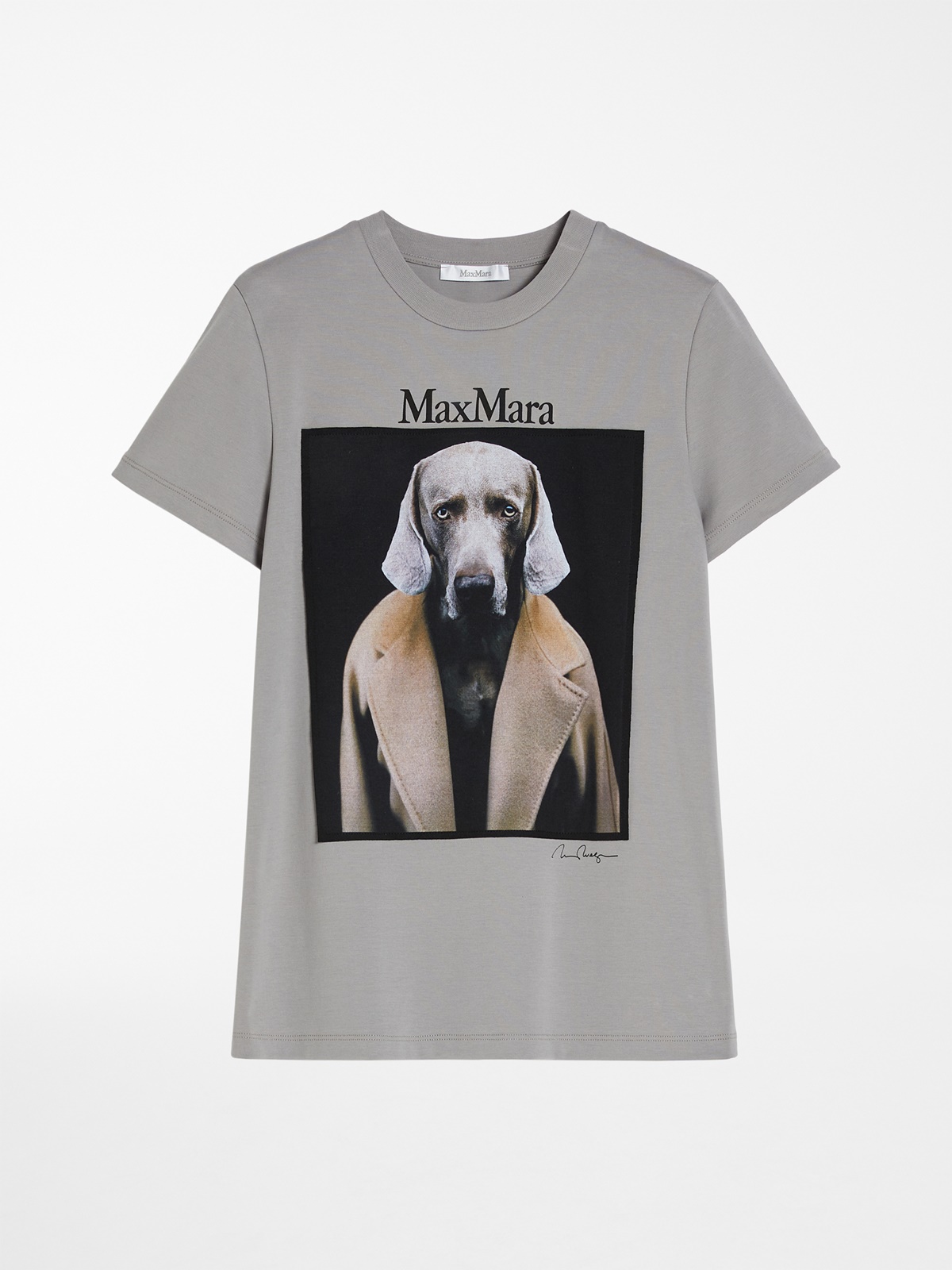 William Wegma拍攝的高貴優雅的威瑪獵犬穿著Max Mara 101801駝色大衣的攝影作品，NT$17,800。（MAX MARA提供）
