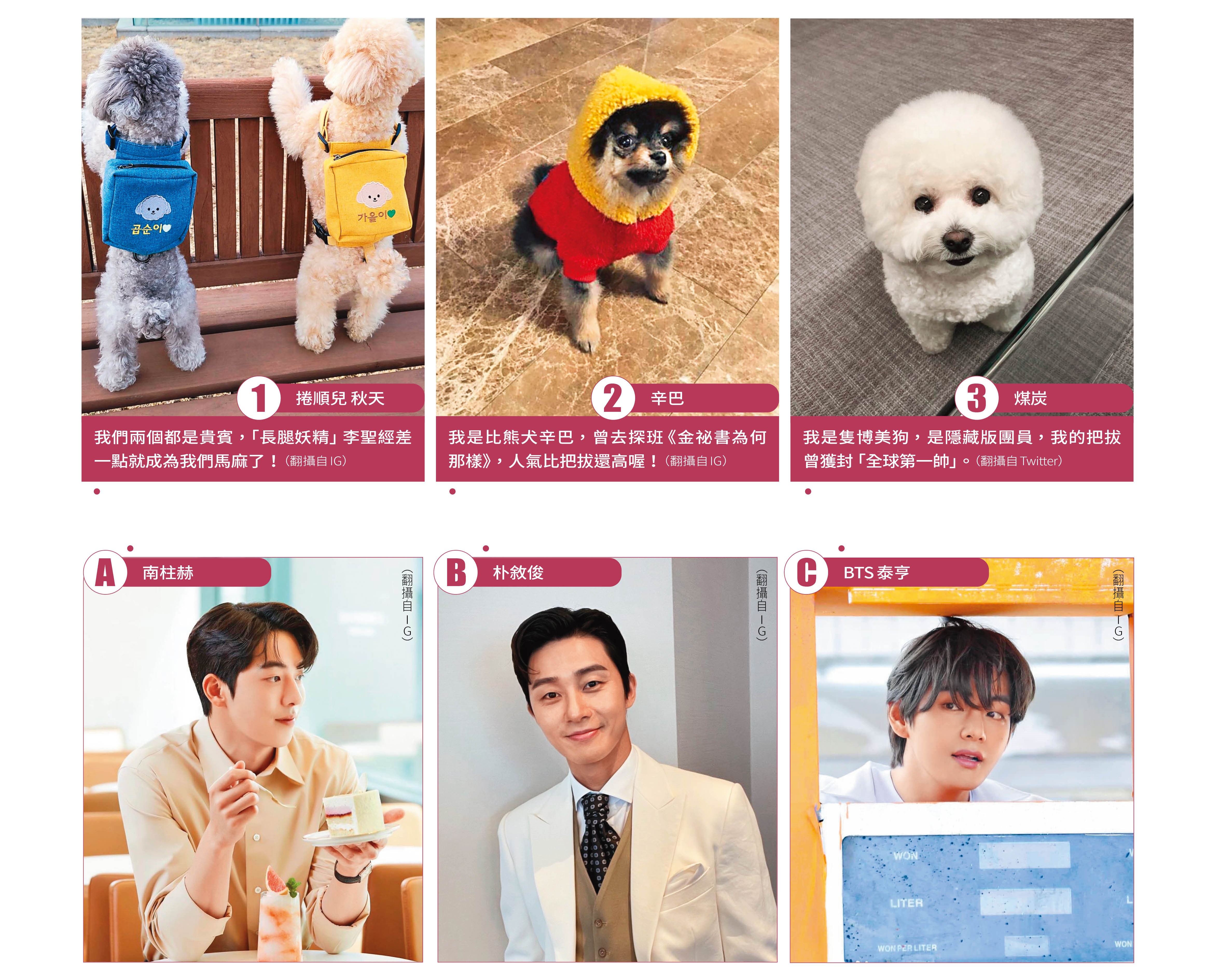 【88節靠爸】男神愛犬「好狗命」　南柱赫、朴敘俊、BTS毛孩太Q