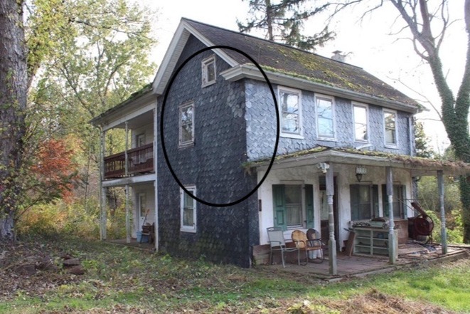 沙拉夫婦買的老宅，竟有一大群住了35年的蜜蜂。（翻攝自gofundme.com網站）