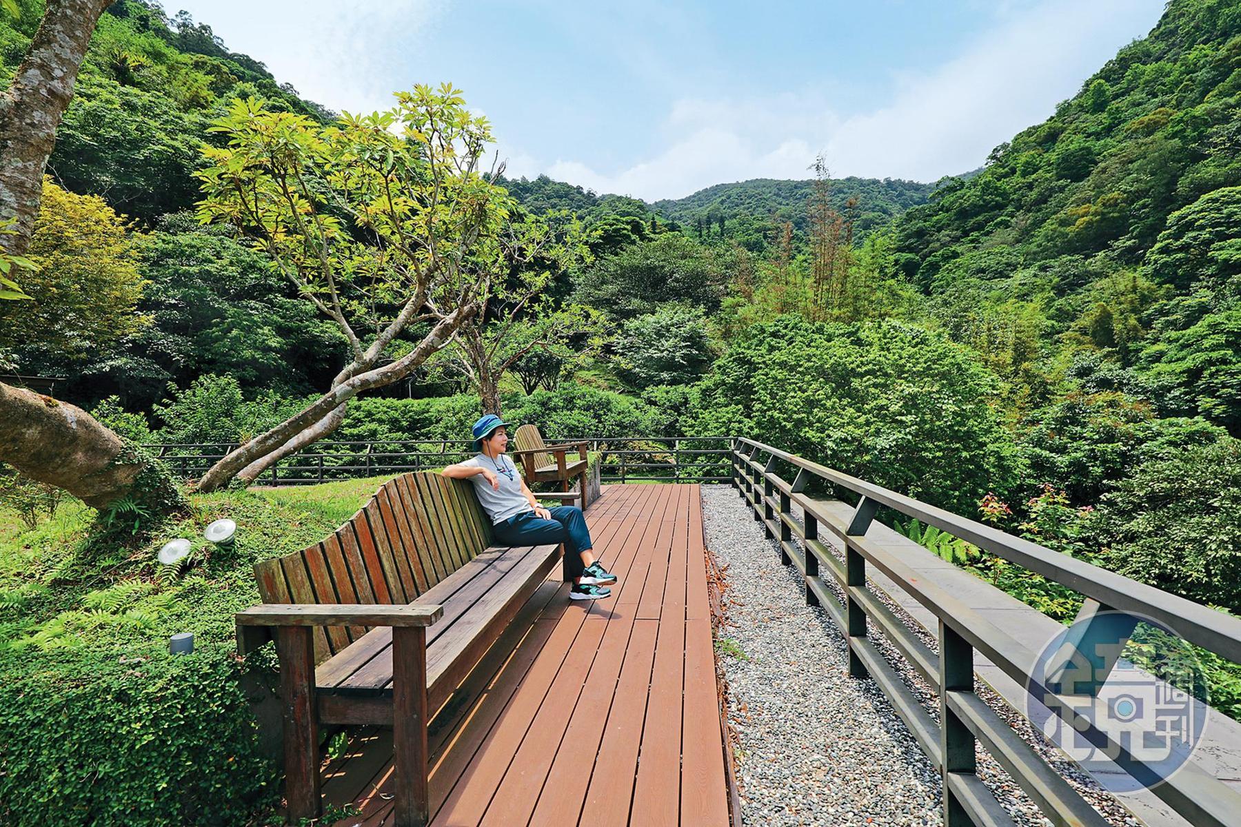 酒莊3樓的露台可以欣賞園區內的風景。