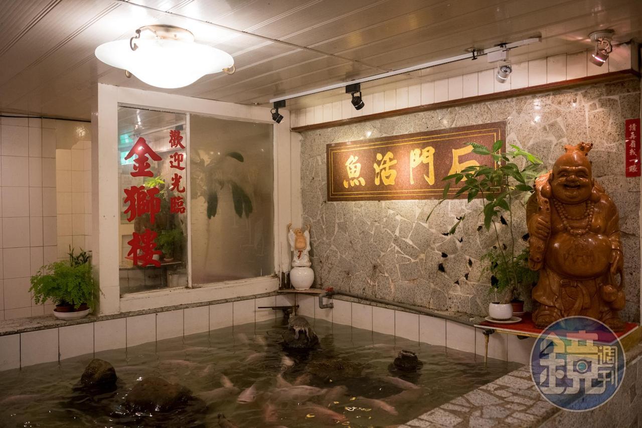 今年42歲的金獅樓,入口處有一座大型磁磚魚池迎客。