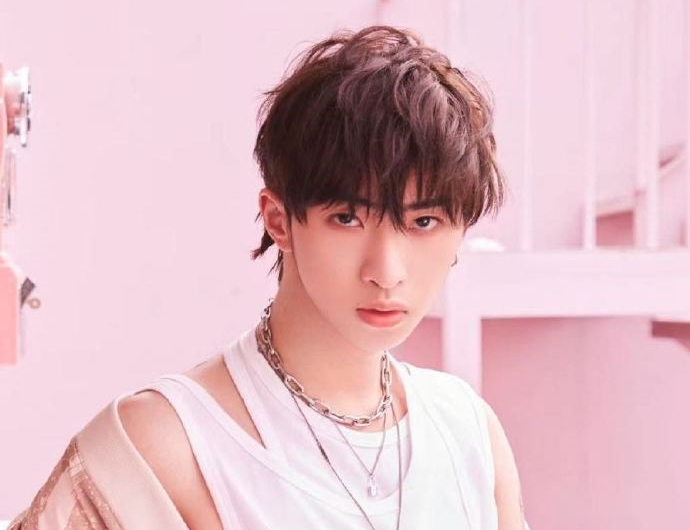 小哈利宣布正式出道。（翻攝微博）