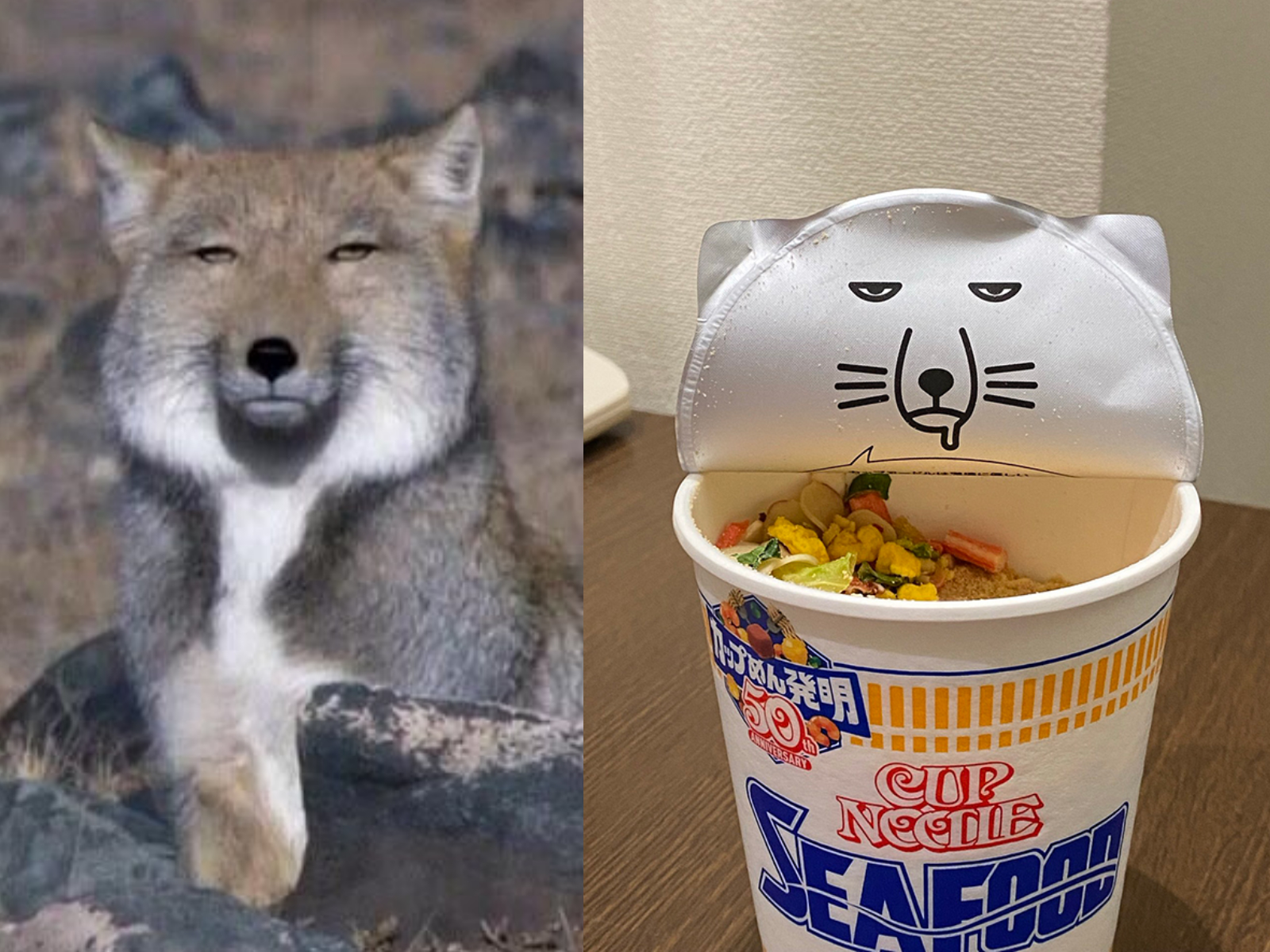 日本網友意外開箱到藏狐版杯麵設計，網友比對與藏狐本尊神情完全一致。（翻攝IG@sakuya495／推特@asahina_waki2）