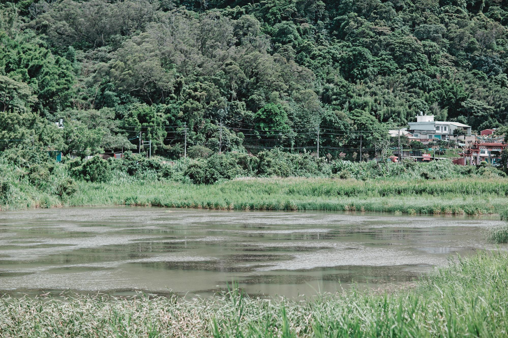 溪洲農村中的沉澱池,有水庫沖出的淤泥,富生態機能;經處理後能再利用為輕質骨材、紅磚、陶瓷等材料,用途相當廣泛。