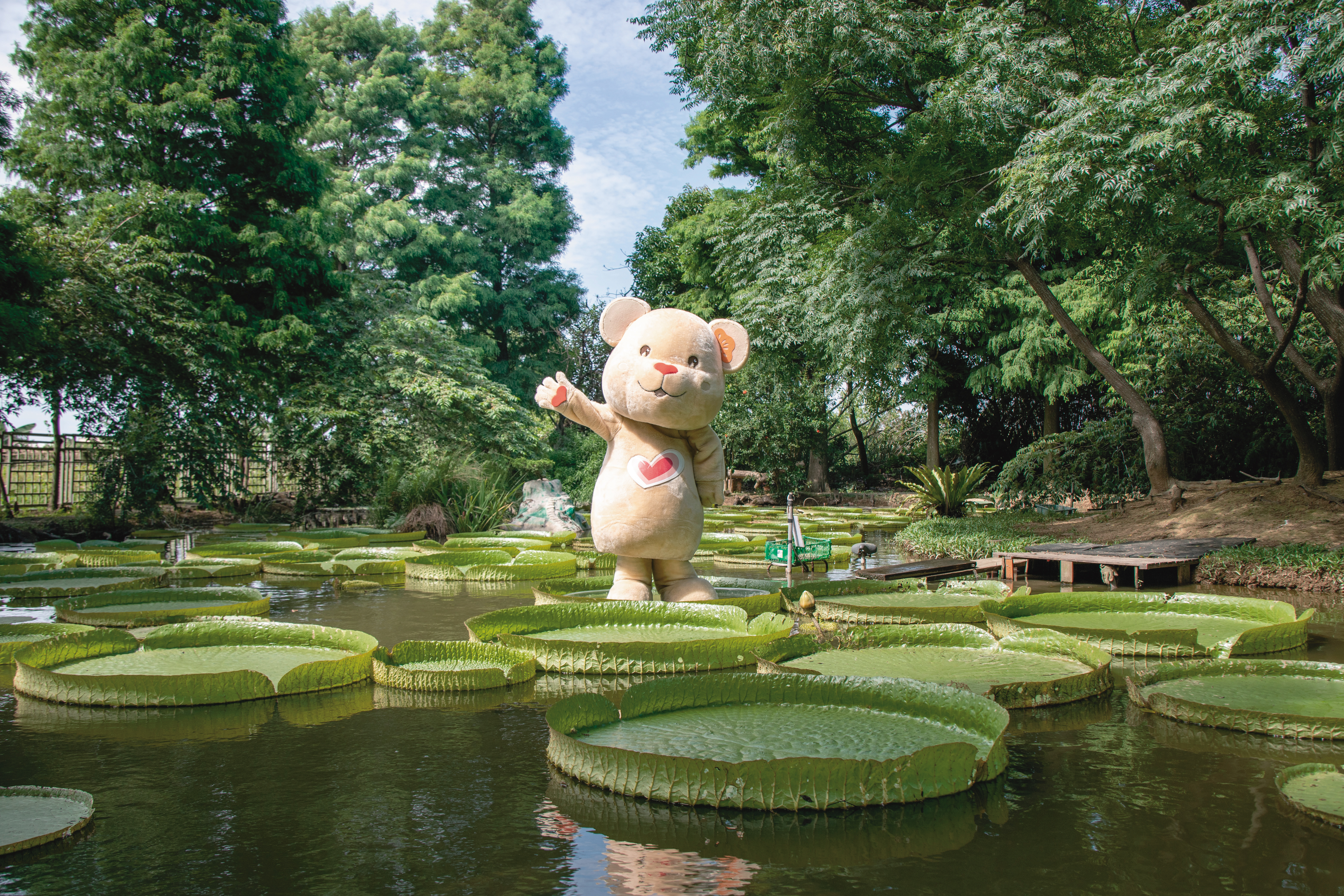 今年賞蓮,還能在園區各角落找到泰迪樂活熊的蹤影。