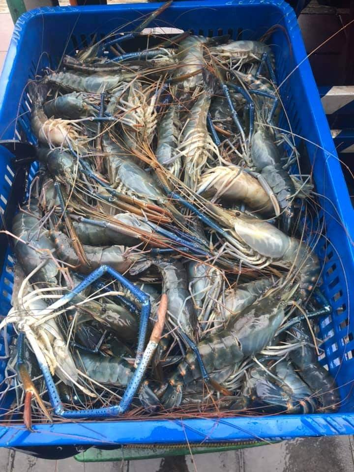 釣蝦場業者透露，泰國蝦批發商漫天開價，還嗆「嫌貴不叫貨，後面還一堆人排隊等」。