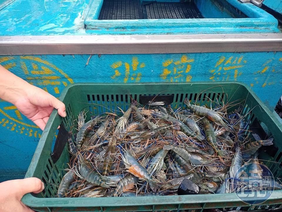 好不容易降為二級警戒，但釣蝦場業者卻因泰國蝦漲價苦不堪言。