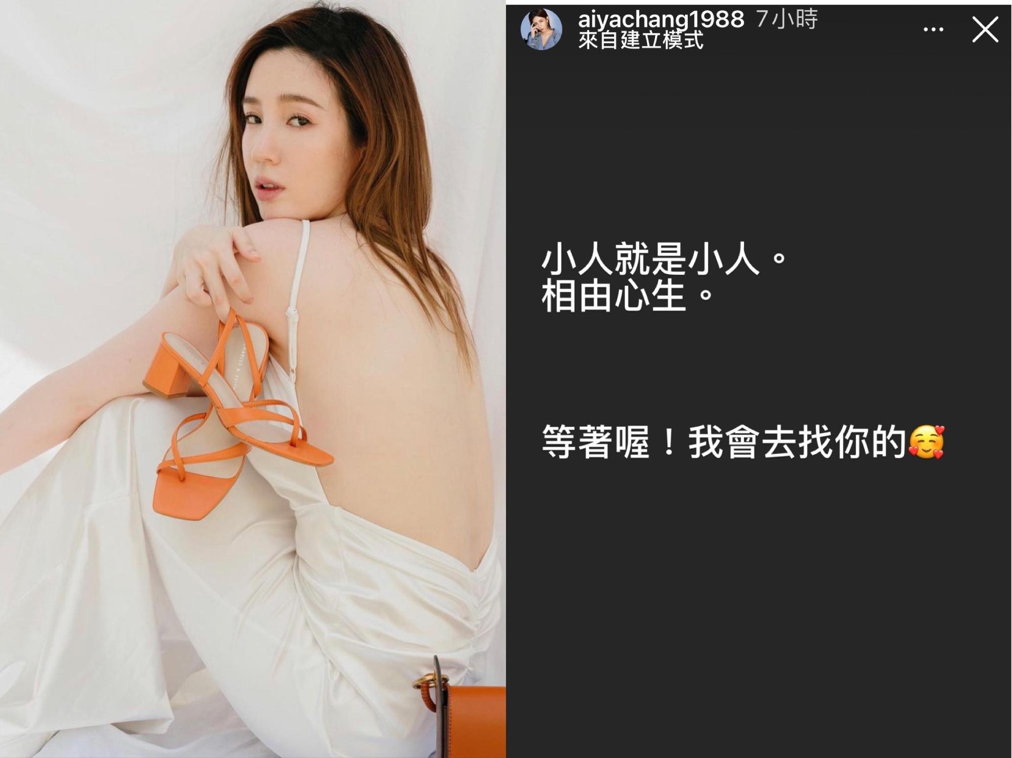 張愛雅IG限動罵小人,事後澄清不關自己的事,是替朋友抱不平。(翻攝自張愛雅IG)