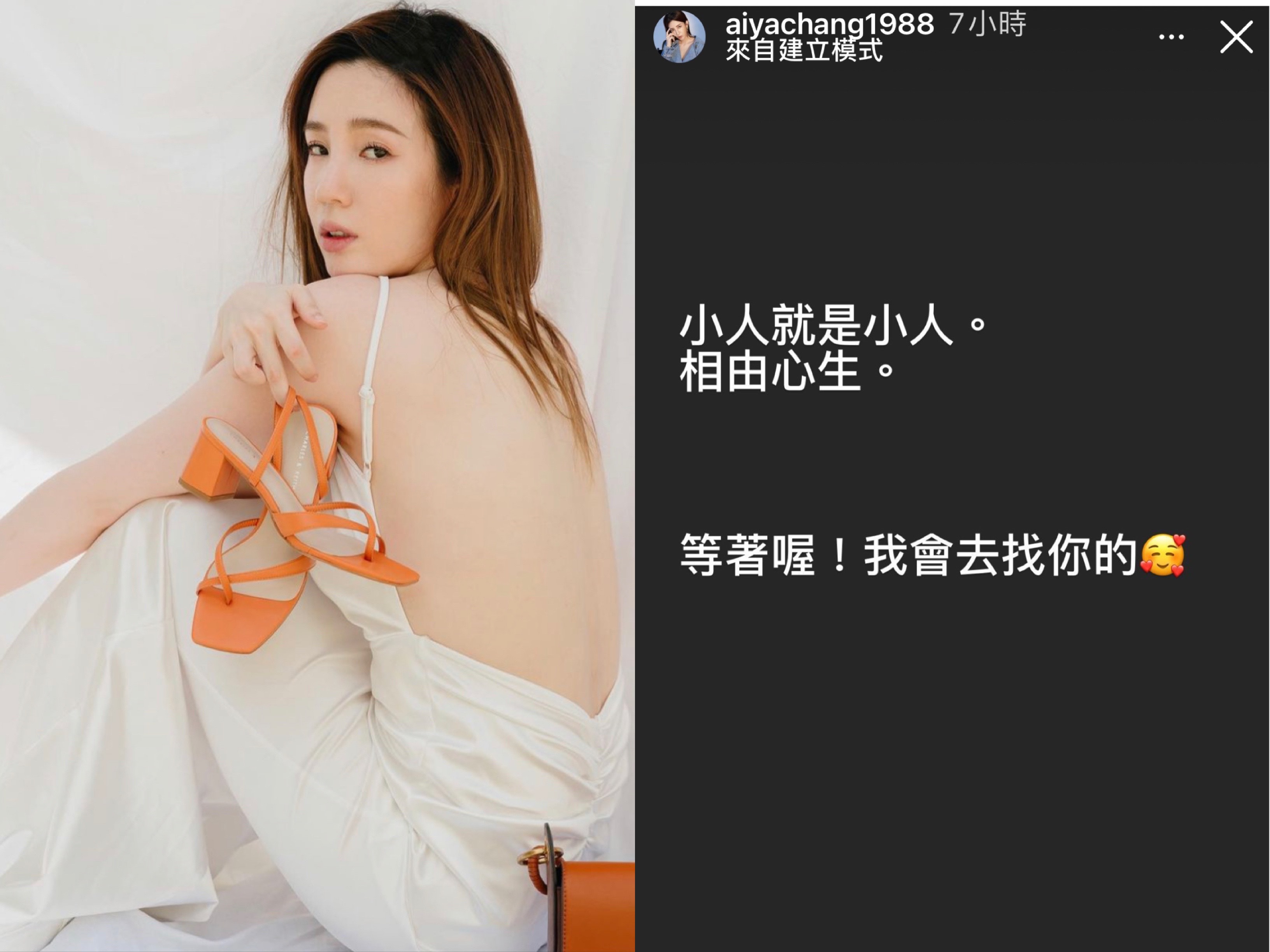 張愛雅IG限動罵小人，事後澄清不關自己的事，是替朋友抱不平。（翻攝自張愛雅IG）