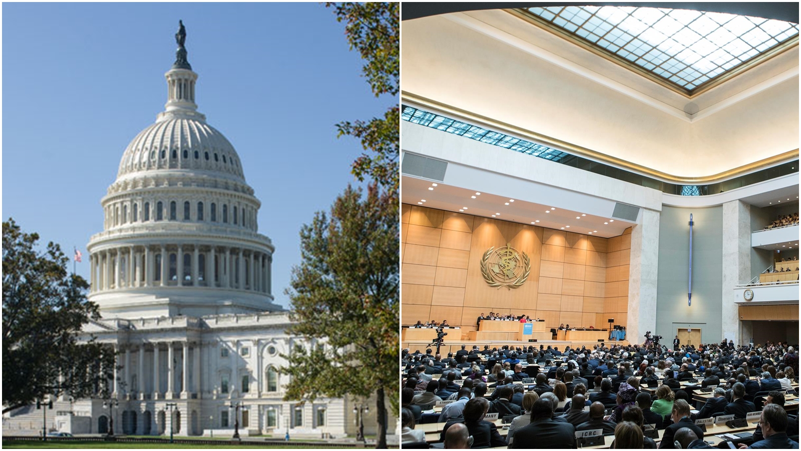 美國參議院一致同意通過「要求國務卿擬訂策略協助台灣重獲世界衛生組織觀察員地位」法案。（翻攝自美國參議院官網、WHO官方臉書）