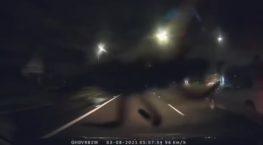 澳洲2名男子開車上高速公路，被突然竄出的大蜘蛛嚇一大跳。（翻攝自「Dash Cam Owners Australia」YouTube）