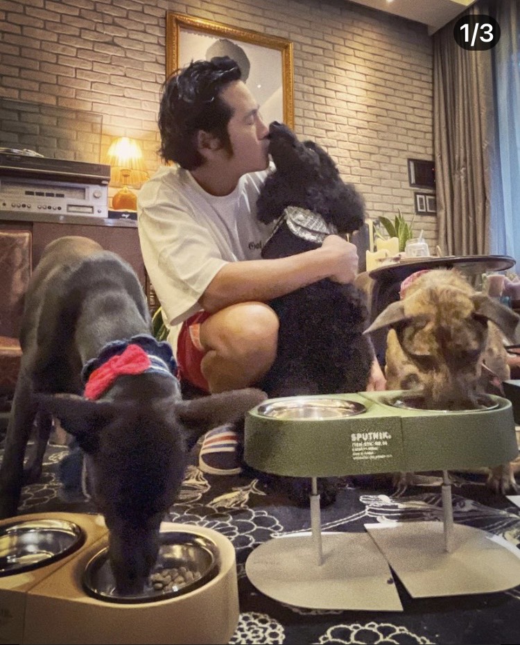 曹格是位愛狗人士，私下常花時間照顧愛狗。（翻攝自IG）