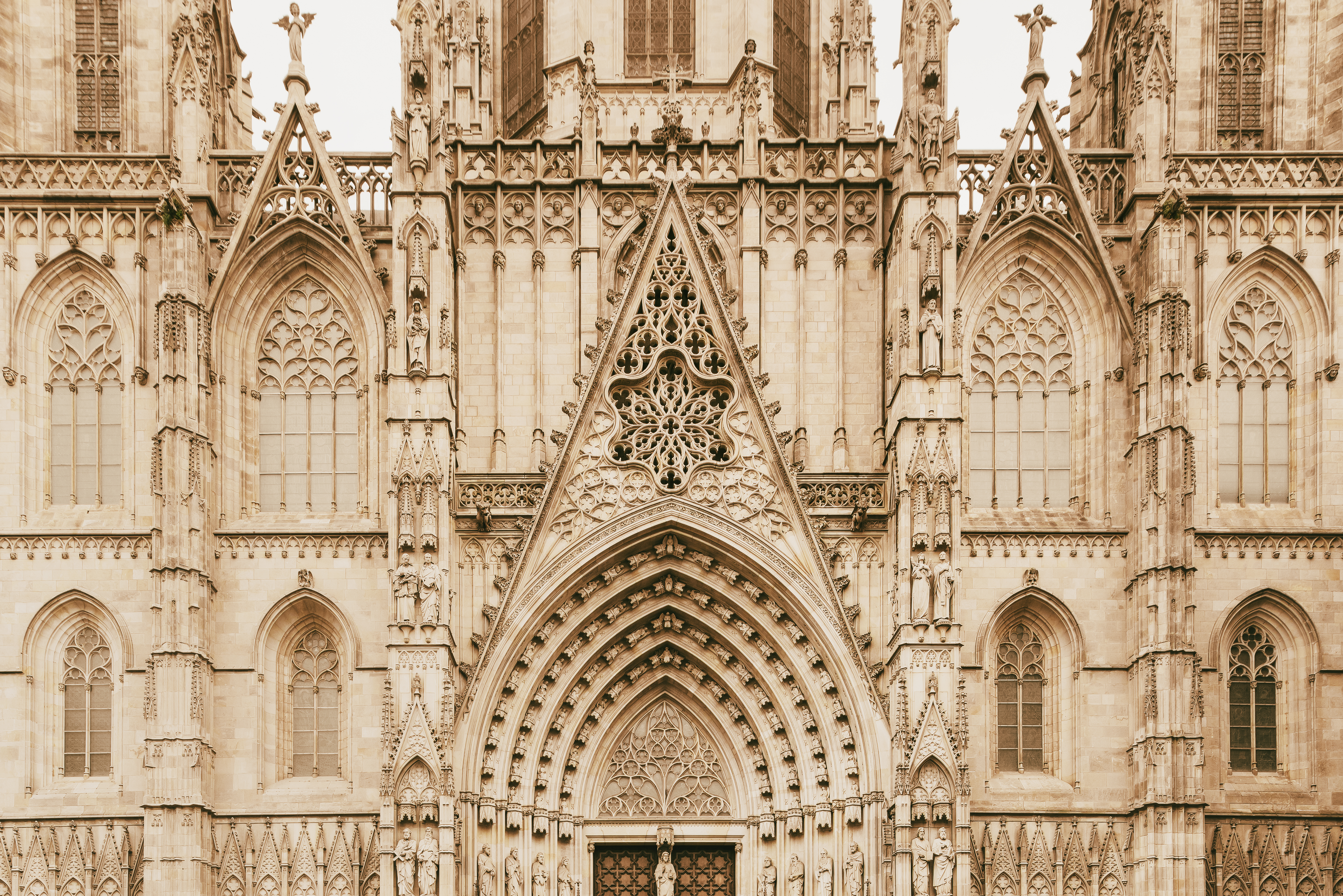 （Shutterstock提供）