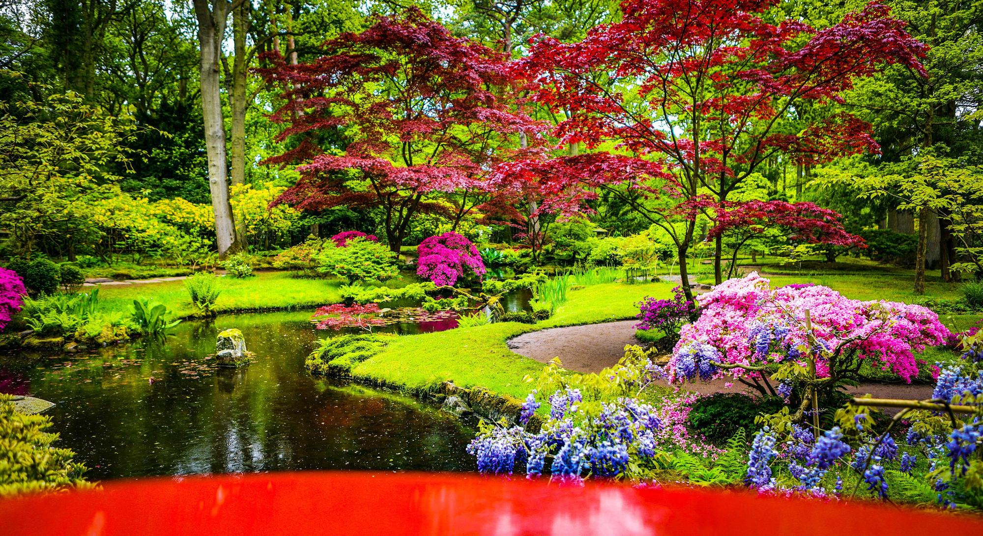 天空之邑將打造日式六感庭園,將生活美學具體呈現。(示意圖/天空之邑提供)