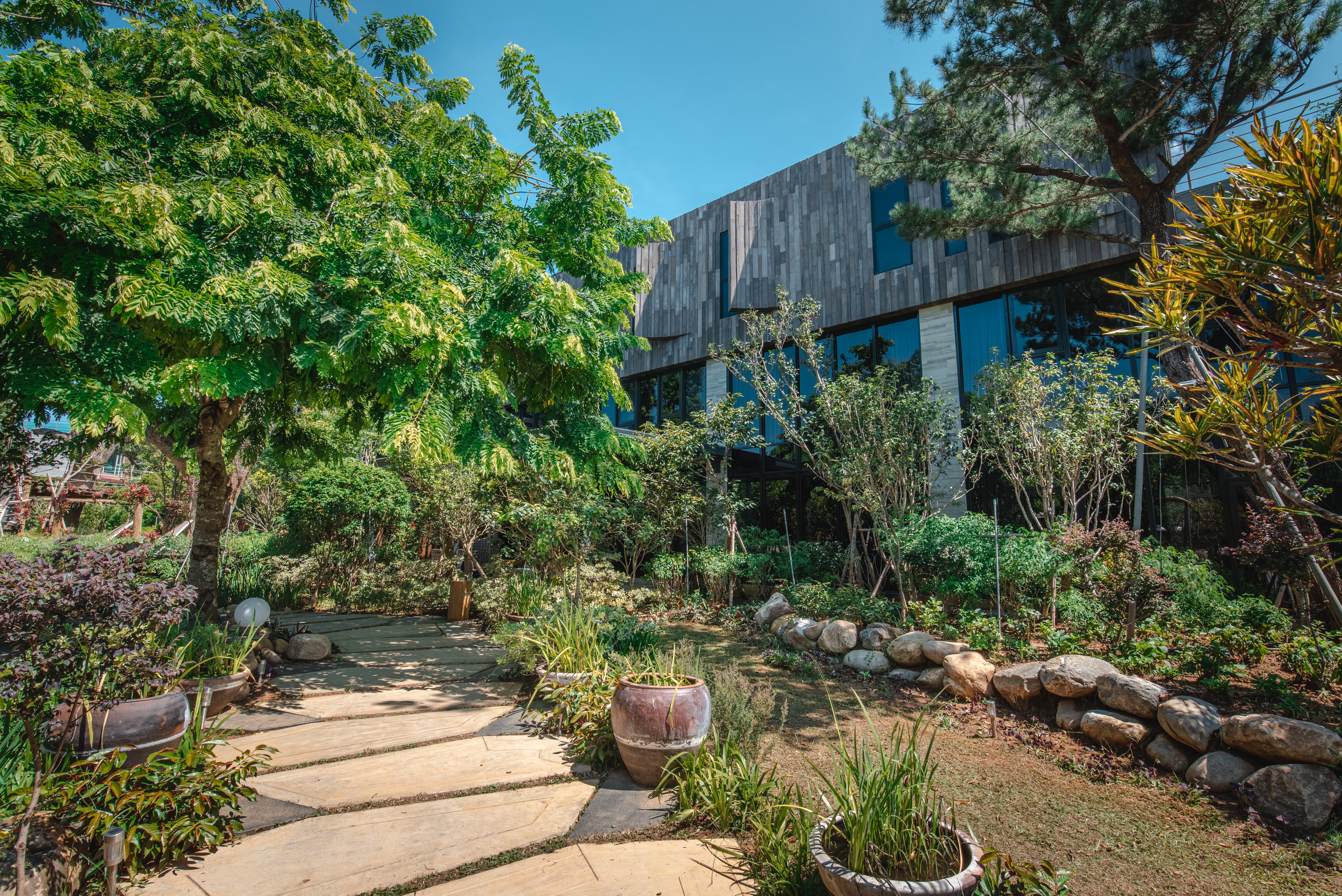 園區種滿花草樹木，猶如一座森林博物館。（寨酌然提供）