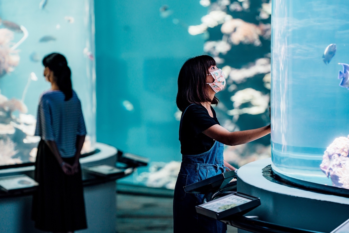 屏東海生館2021全新暑期活動「璀璨之海」，希望讓來訪遊客感受每一個海洋心動時刻。（屏東國立海洋生物博物館堤供）