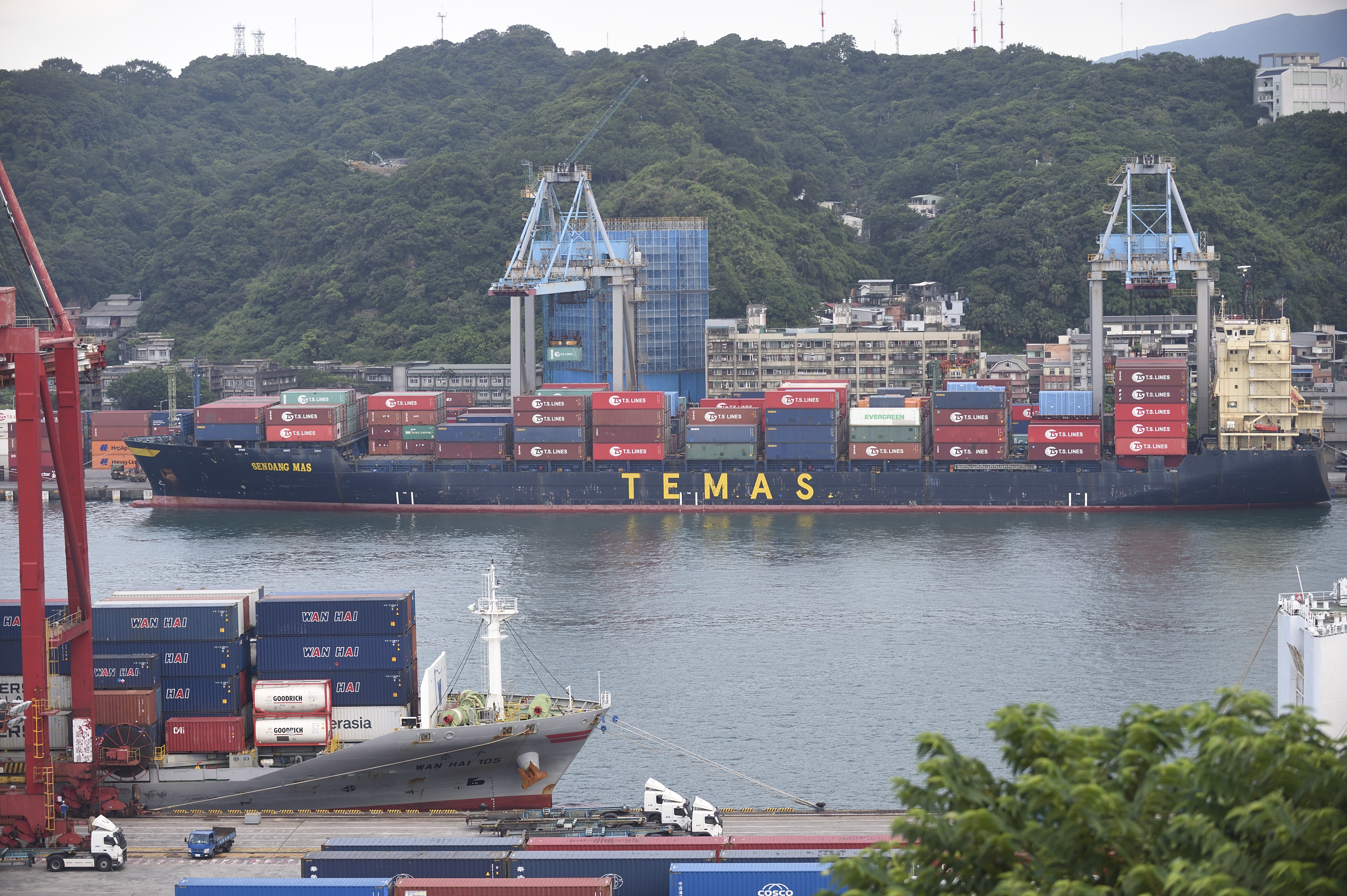 近期航運股交易量萎縮，讓不少股民嘆：「海水冷了！」