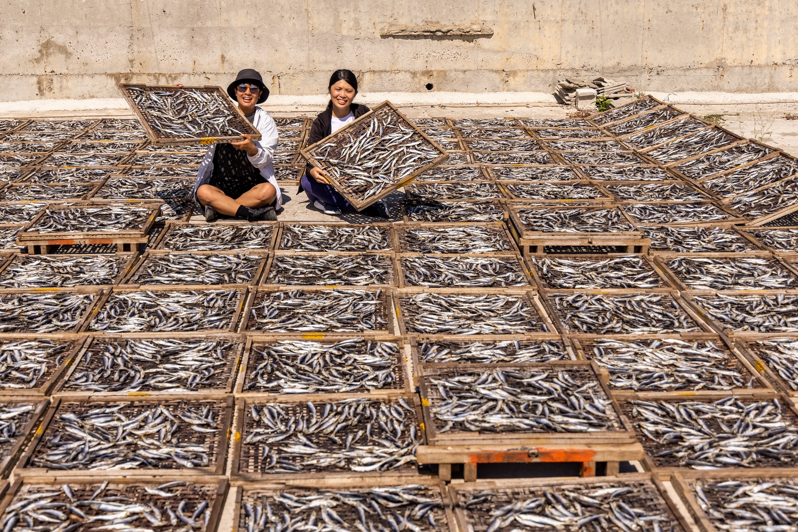 坐在曬魚地的中央，濃烈的香氣襲來，是很特殊的體驗。