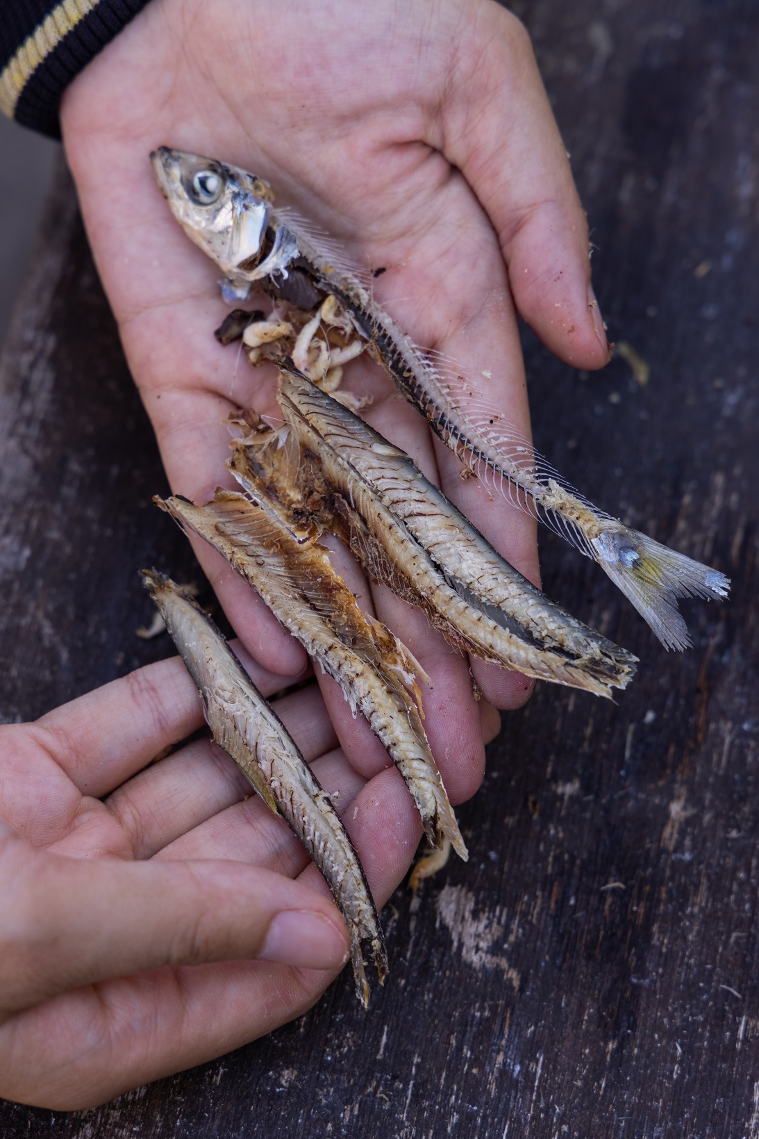 剝掉魚骨,拆解後的魚肉,可以另外賣得好價錢。