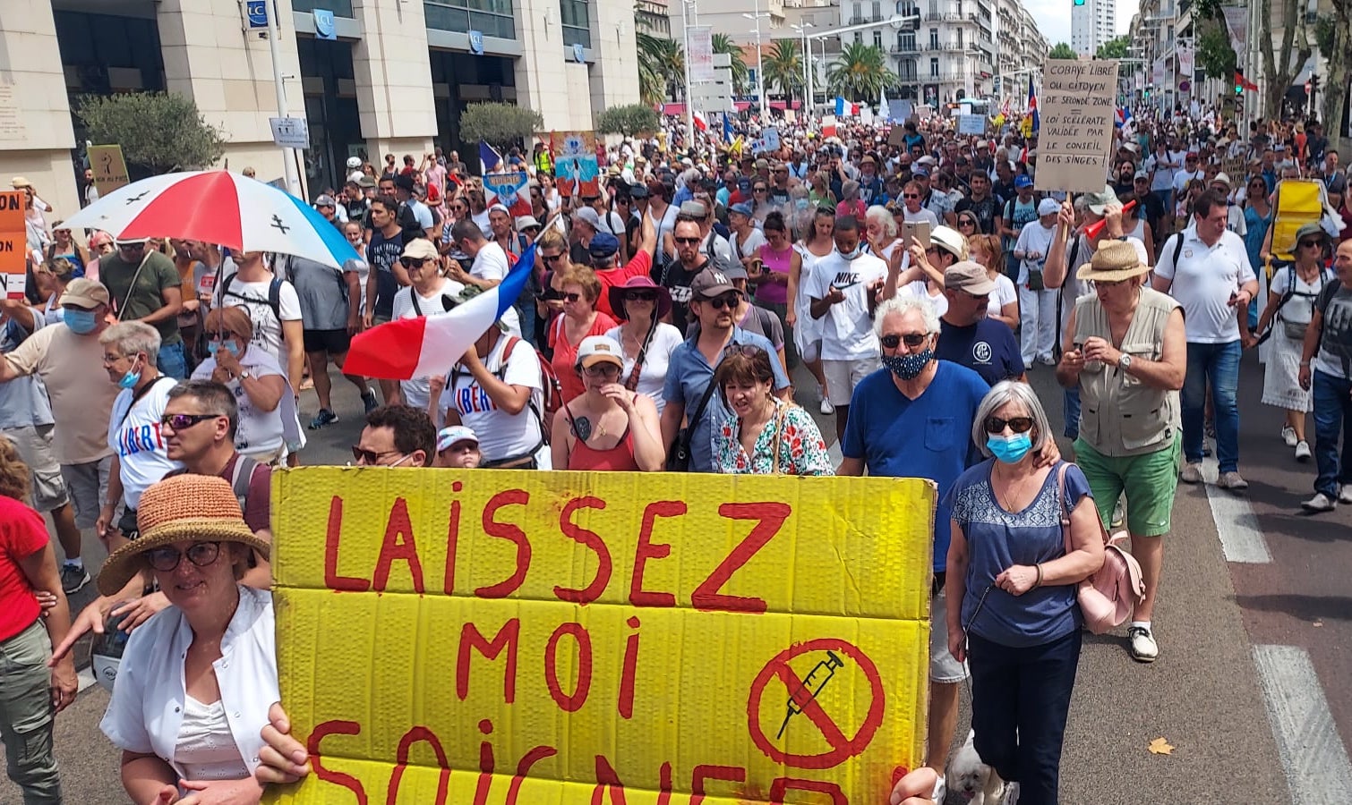法國人上街抗議疫苗通行證，爭取自由與和平。（翻攝Andre002Nicolas推特）