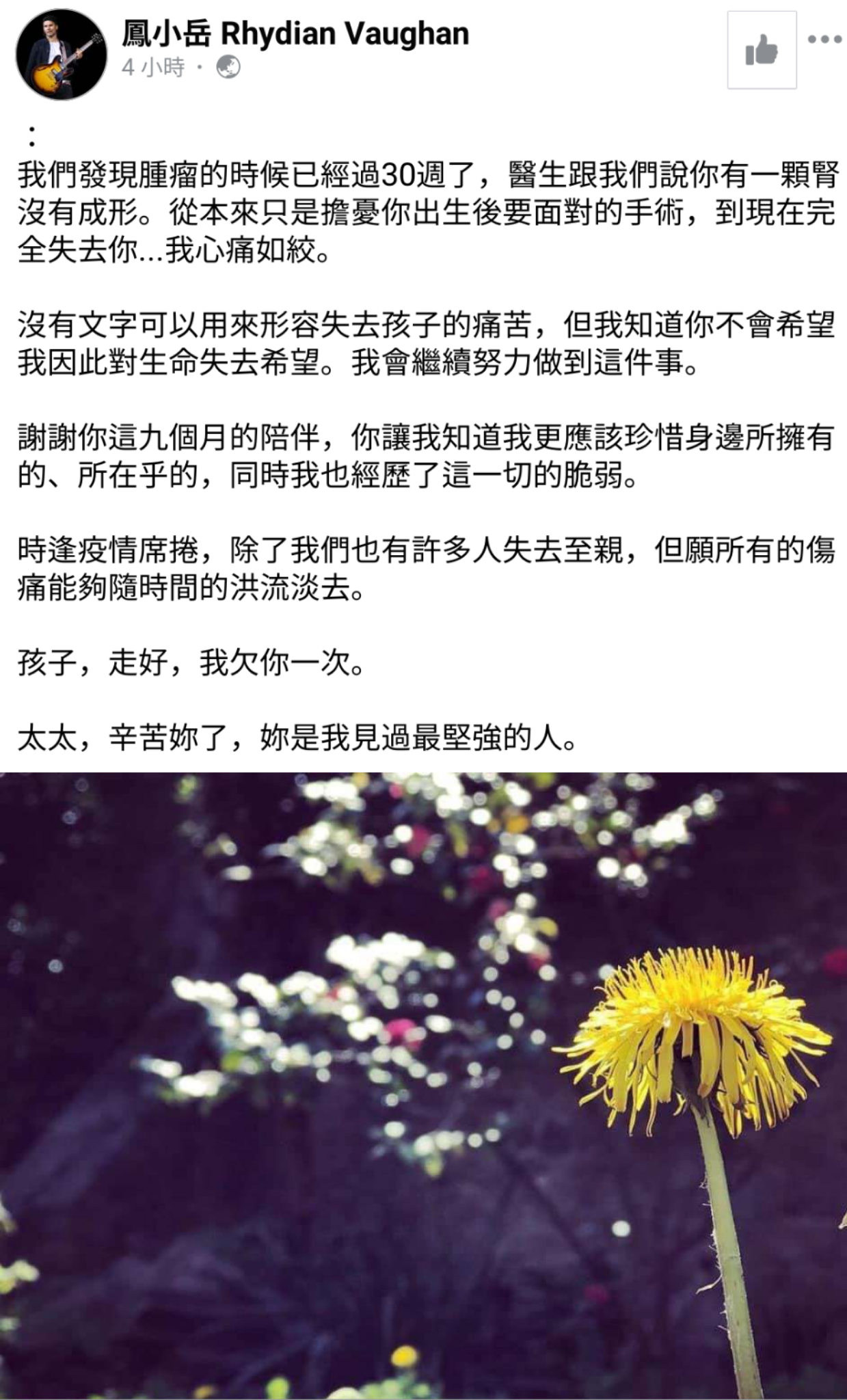 鳳小岳在臉書發文,對失去孩子感到「心痛如絞」。(翻攝自鳳小岳臉書)