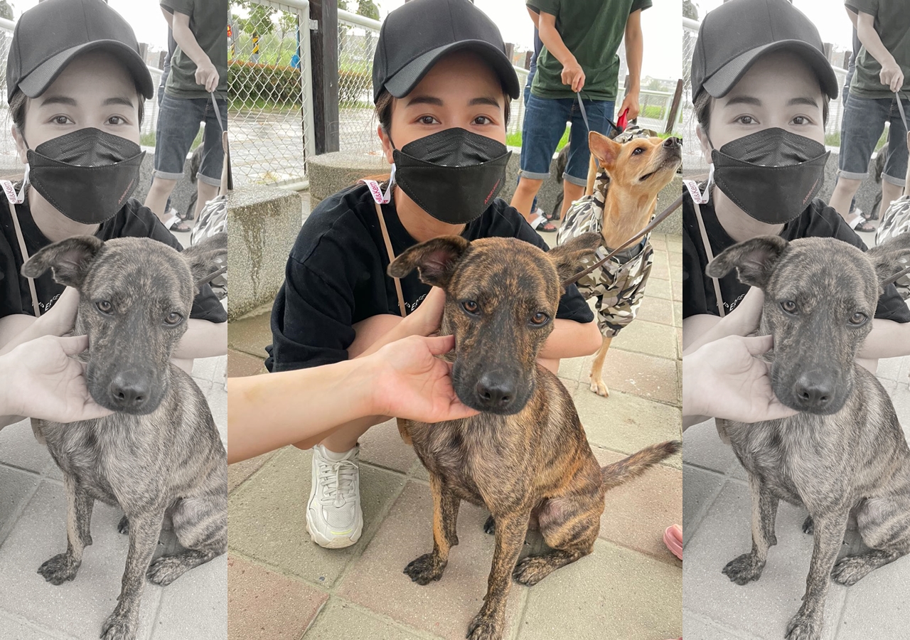 林芯儀與斑斑一見如故，有意將牠帶回台北照顧，但目前尚在評估中。（解碼音樂提供）