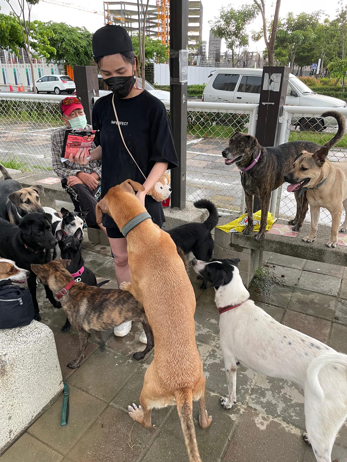 林芯儀生日當天特地南下台中探視桌球國手莊智淵曾提及的流浪狗「斑斑」。（解碼音樂提供）