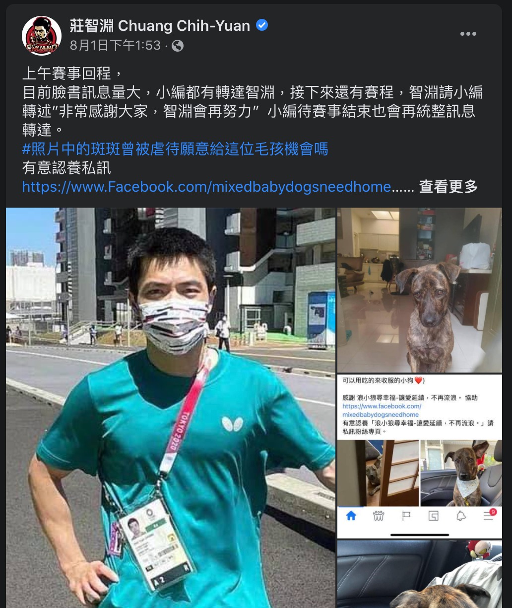 莊智淵日前在臉書關懷流浪動物，呼籲善心人士能領養毛小孩。（翻攝自莊智淵臉書）