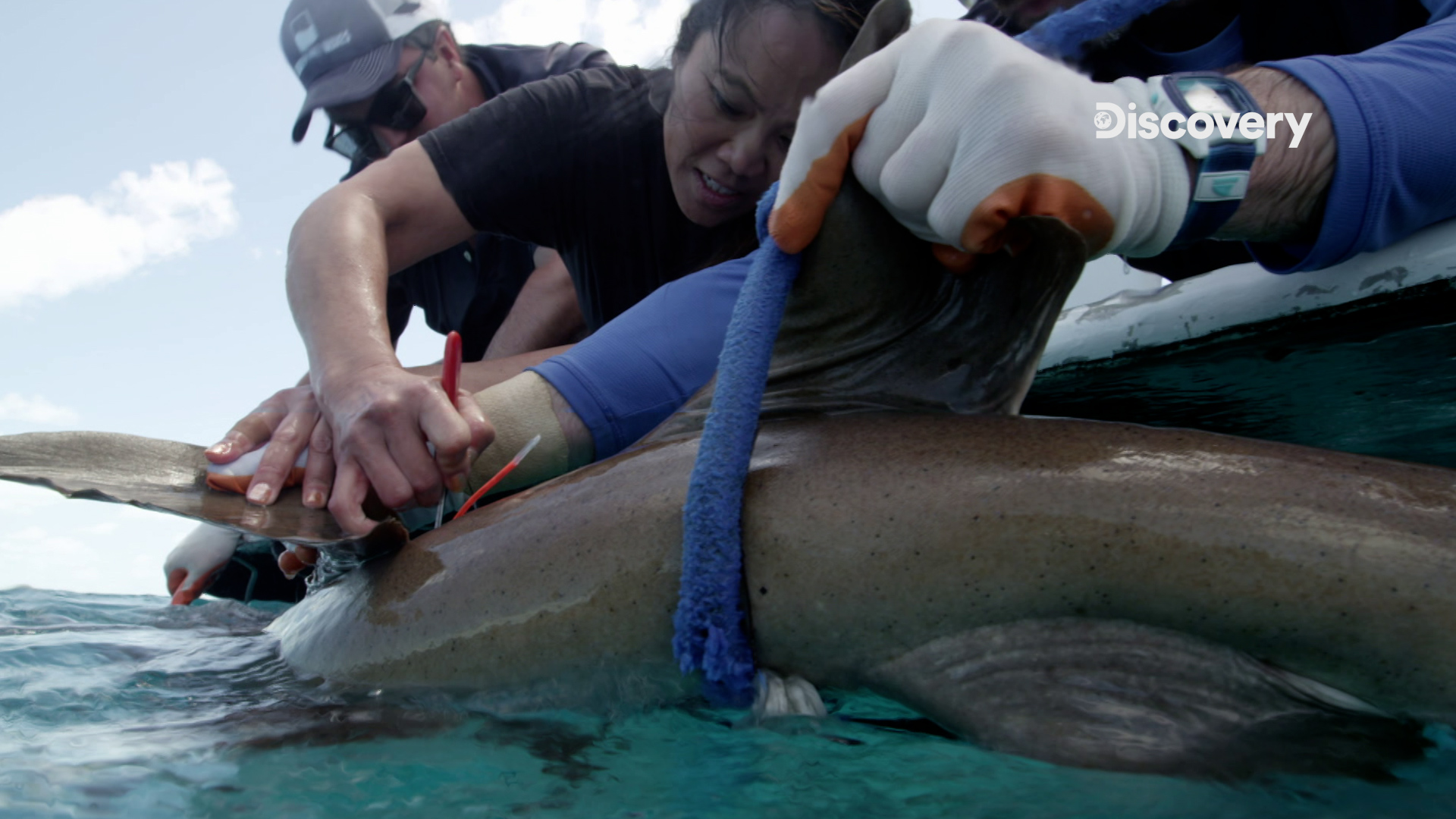 「戰痘醫師」珊卓拉李（中）親自下海揭開鯊魚皮膚的秘密。（Discovery頻道提供）