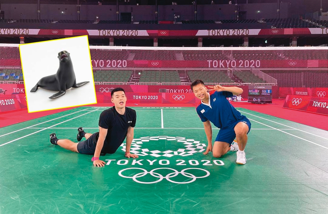 又名「海狗式」，王齊麟（左）擺出讓人很想餵魚的俏皮姿勢。右為李洋。（翻攝自王齊麟IG、翻攝自pixabay）