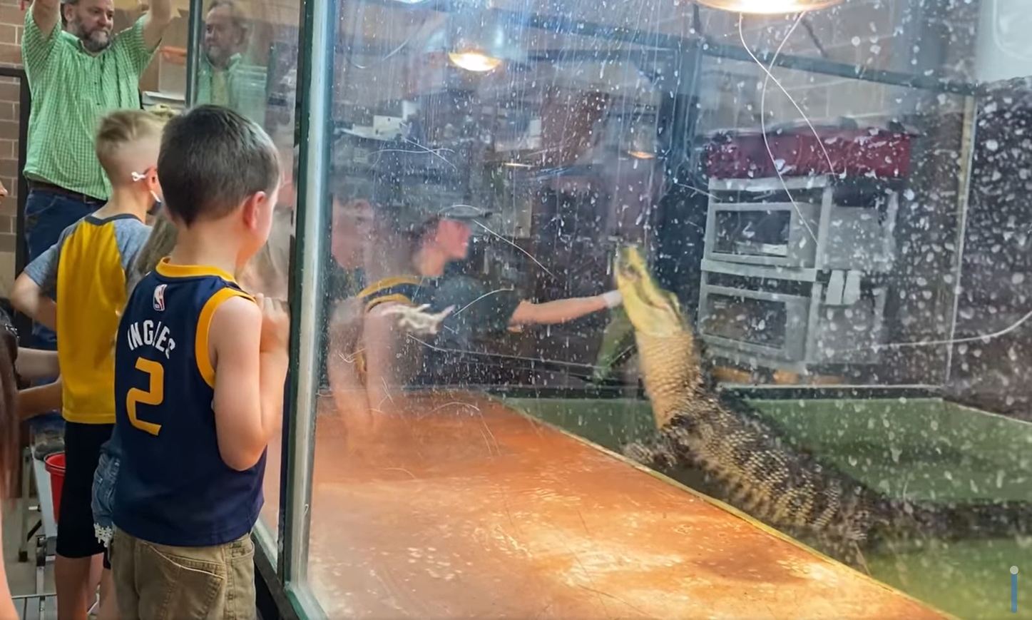 導覽員解說時被鱷魚咬住手臂，現場驚呼連連。（翻攝Theresa Wiseman臉書）