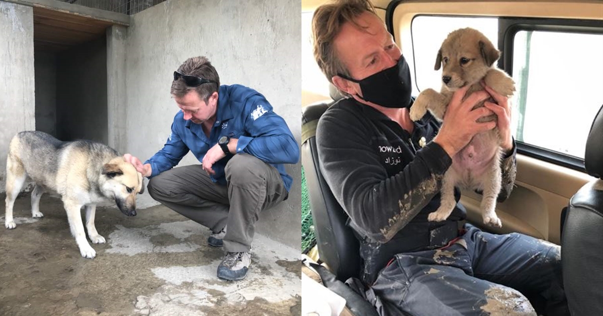 由英國退役軍人在阿富汗創立的動物救援團體Nowzad，不得不忍痛安樂死部分傷殘貓狗。（翻攝自Nowzad臉書）