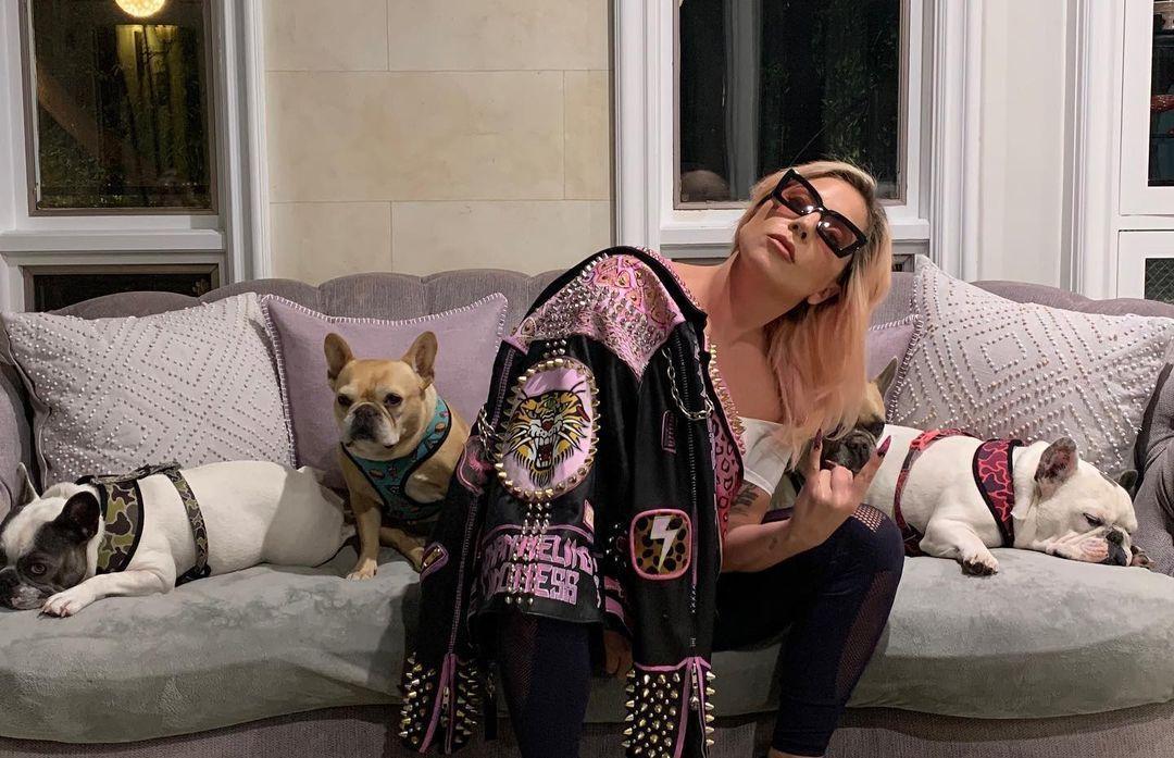 女神卡卡是出名的愛狗人士，養了3隻鬥牛犬。（翻攝Lady Gaga IG）