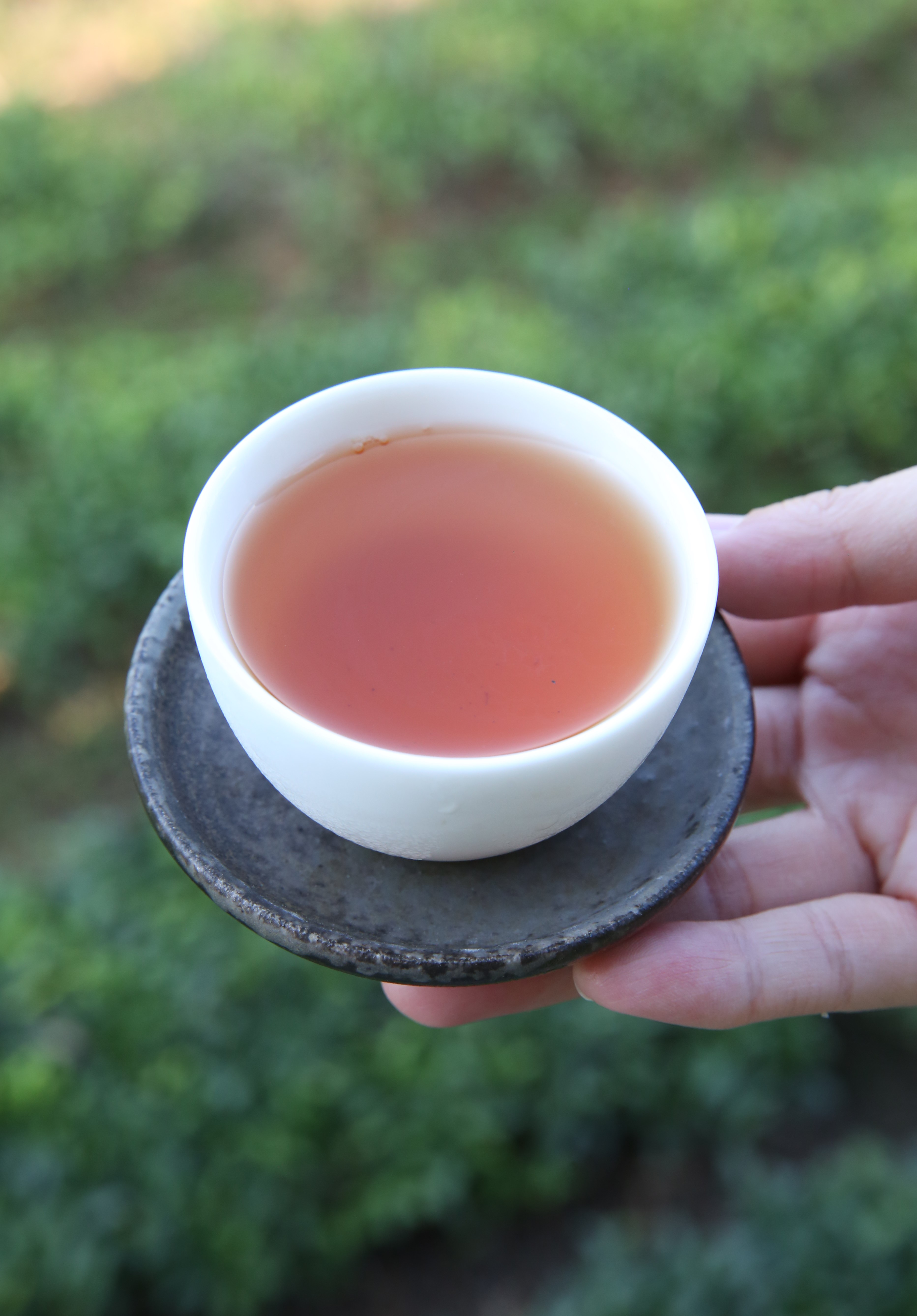 琥珀色澤的紅玉紅茶，品嘗起來溫潤具有果香。