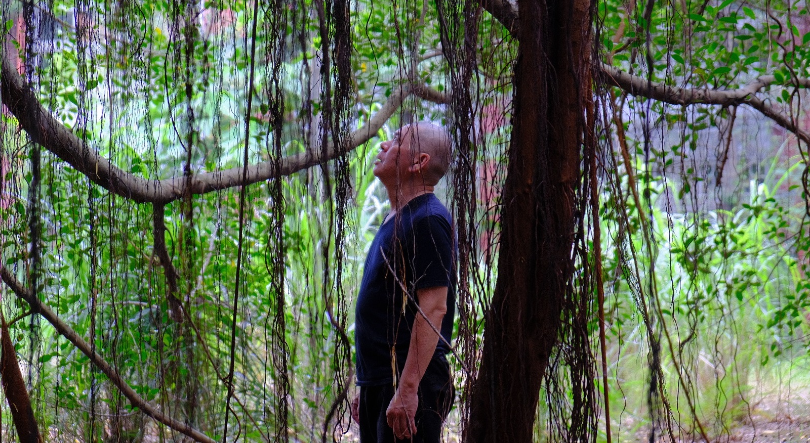 蔡明亮導演今年將帶著新作《月亮 樹》於台北電影節世界首映。（台北電影節提供）