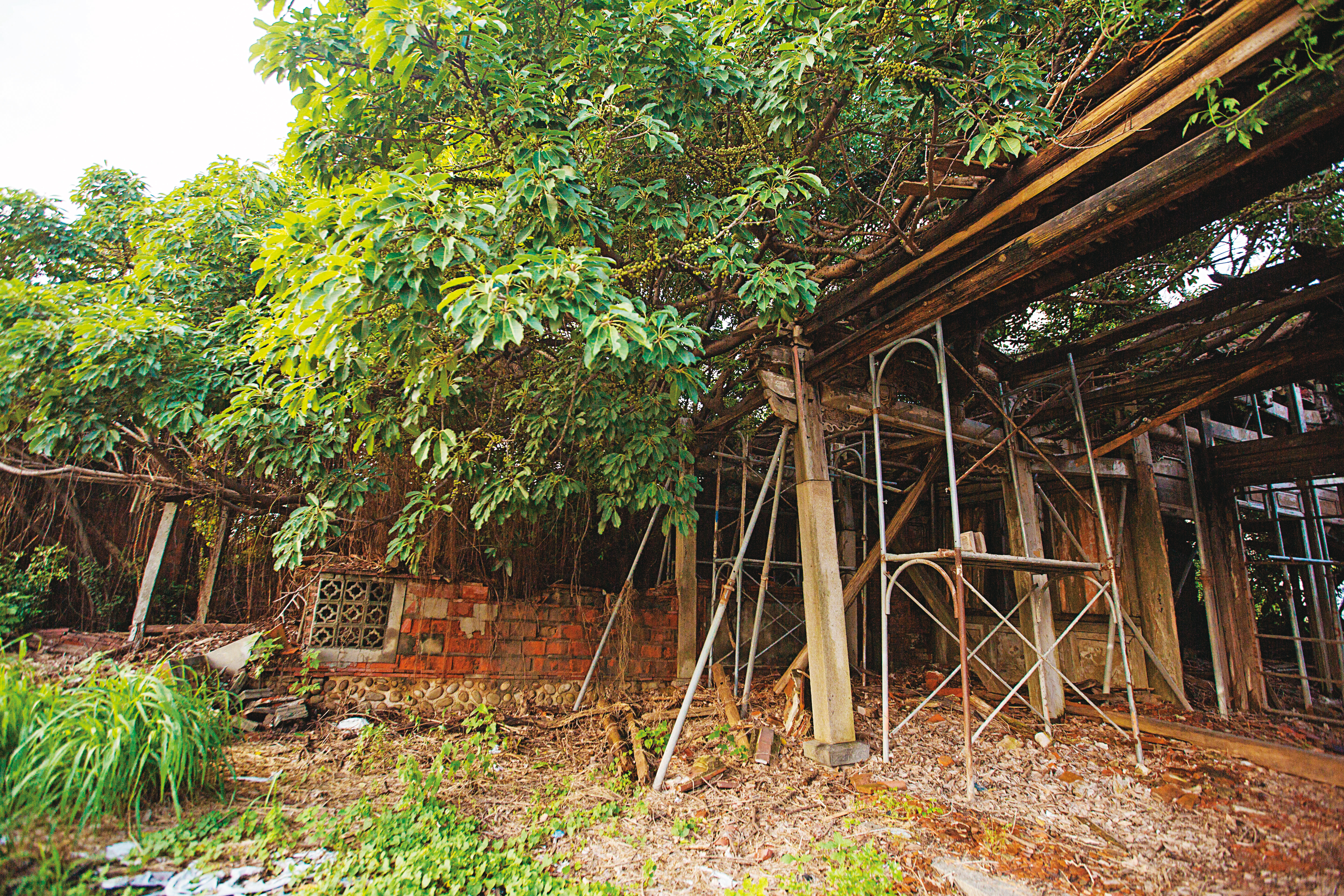 台中市府雖將龍井林宅列為古蹟，但卻沒編列預算維護、修復。