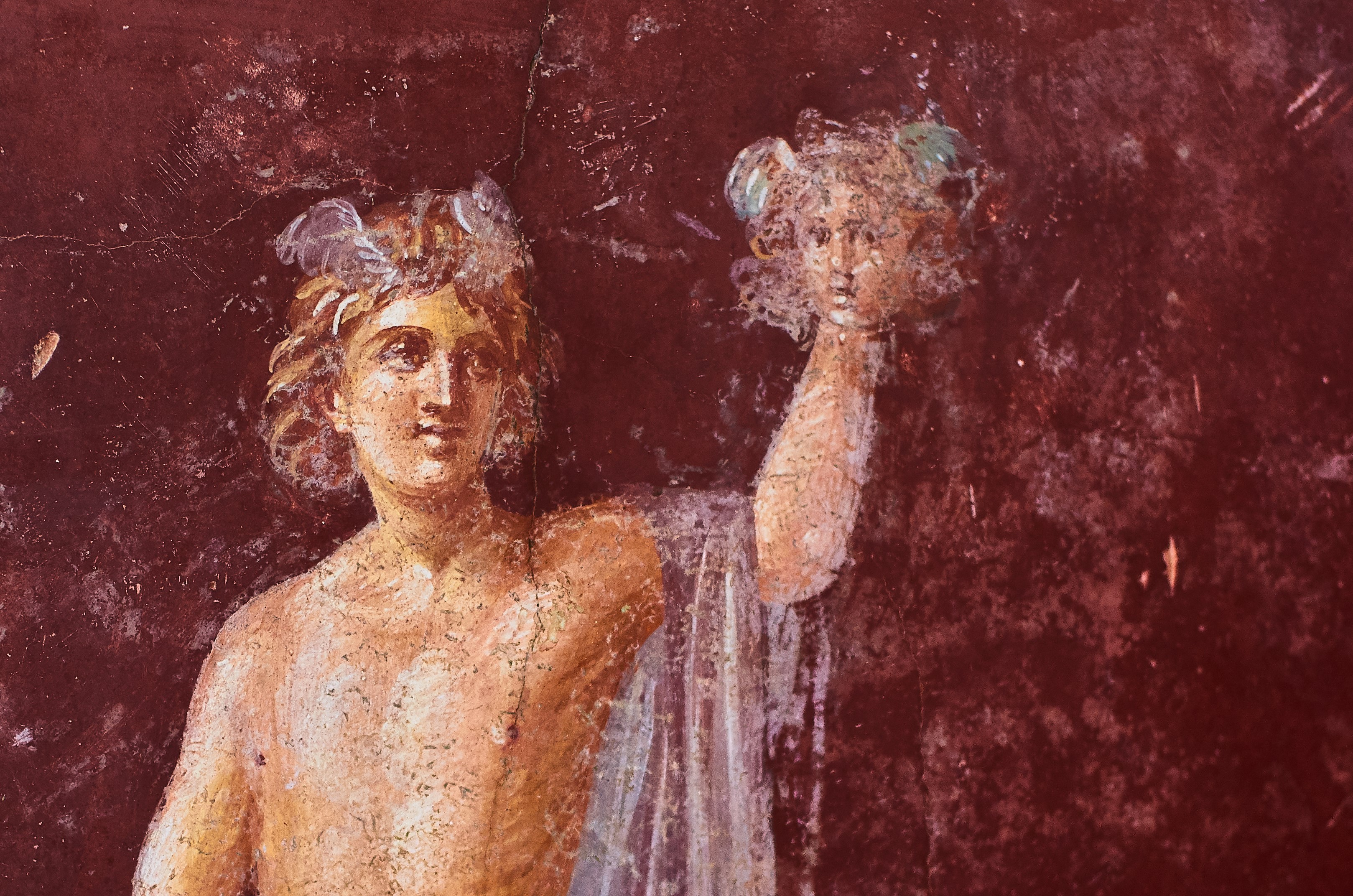 【黃宗潔書評S2—心靈檔案：關於「我」】EP01頭顱的秘密，就是生命的秘密——法蘭西絲．拉爾森《一顆頭顱的歷史》